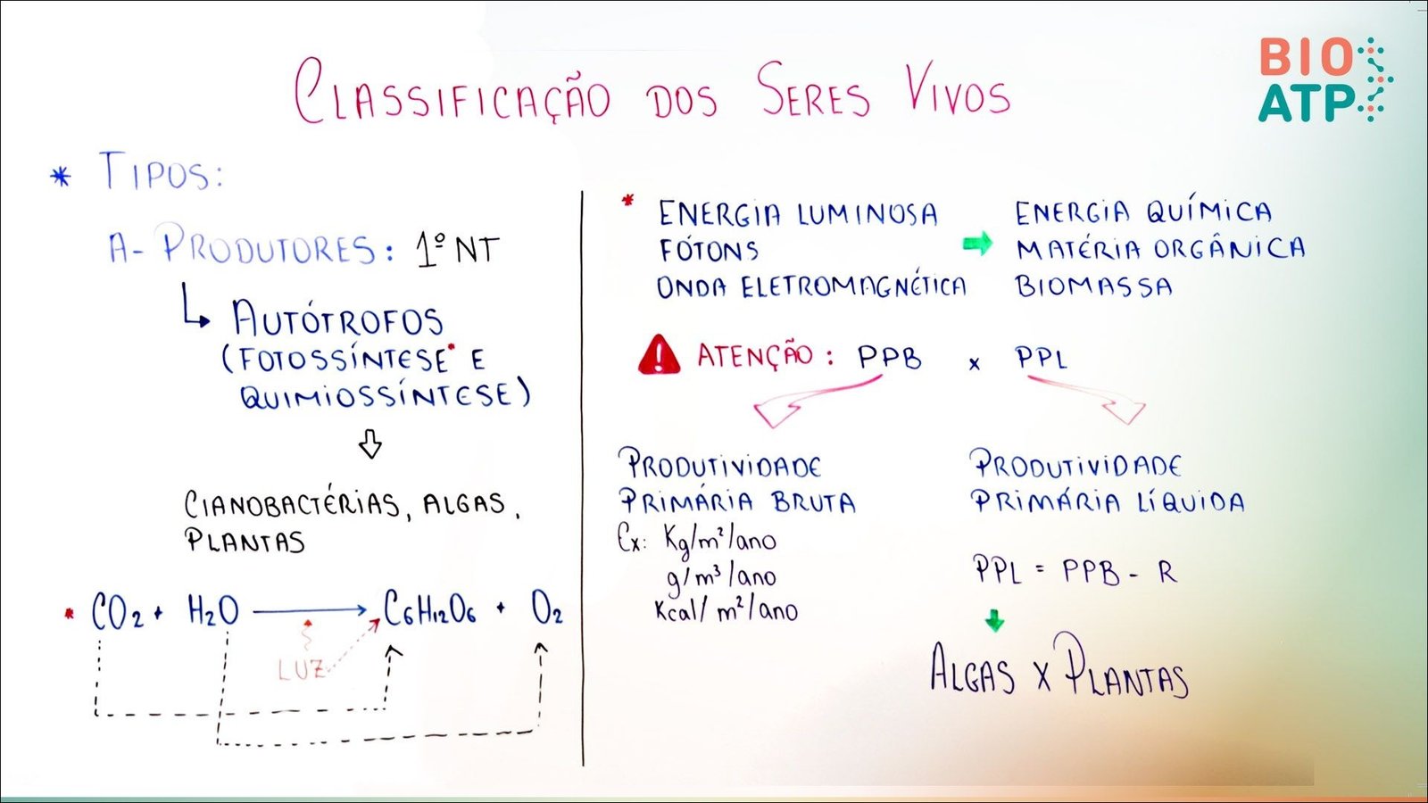 Mapa mental com SERES VIVOS no centro, ramificando-se para BIO e CLASSIFICAÇÃO DOS SERES VIVOS