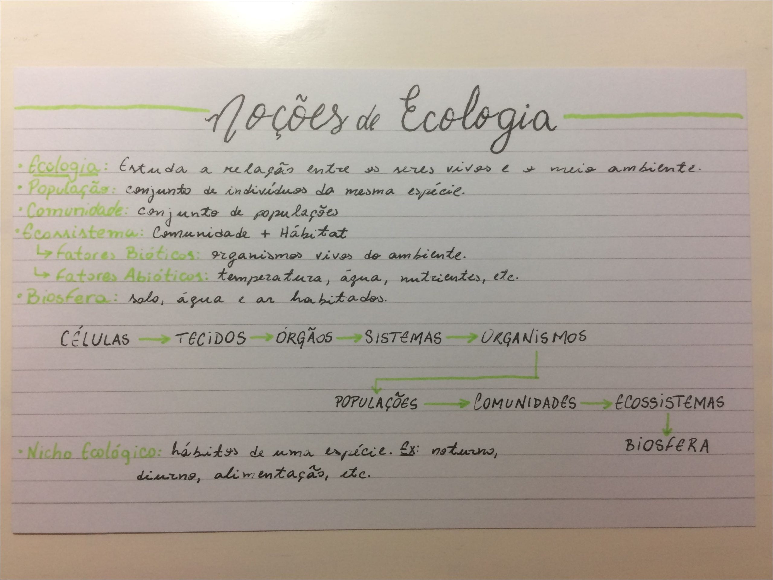 Mapa mental com a palavra Ecologia no centro, ramificando-se para Noções de Ecologia e Estuda a relação entre os seres vivos e o meio ambiente