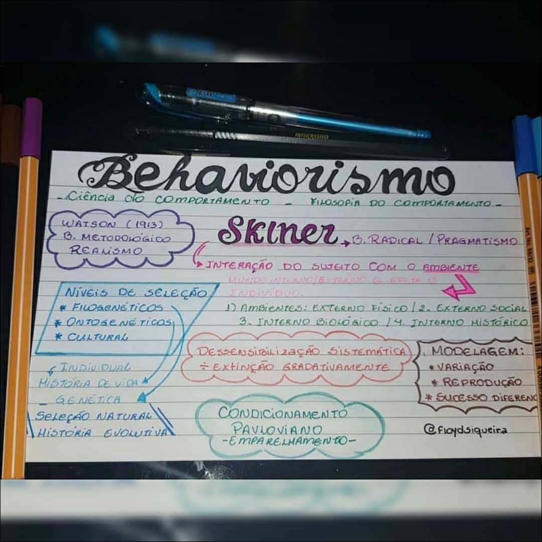 Mapas Mentais Sobre BEHAVIORISMO - Study Maps