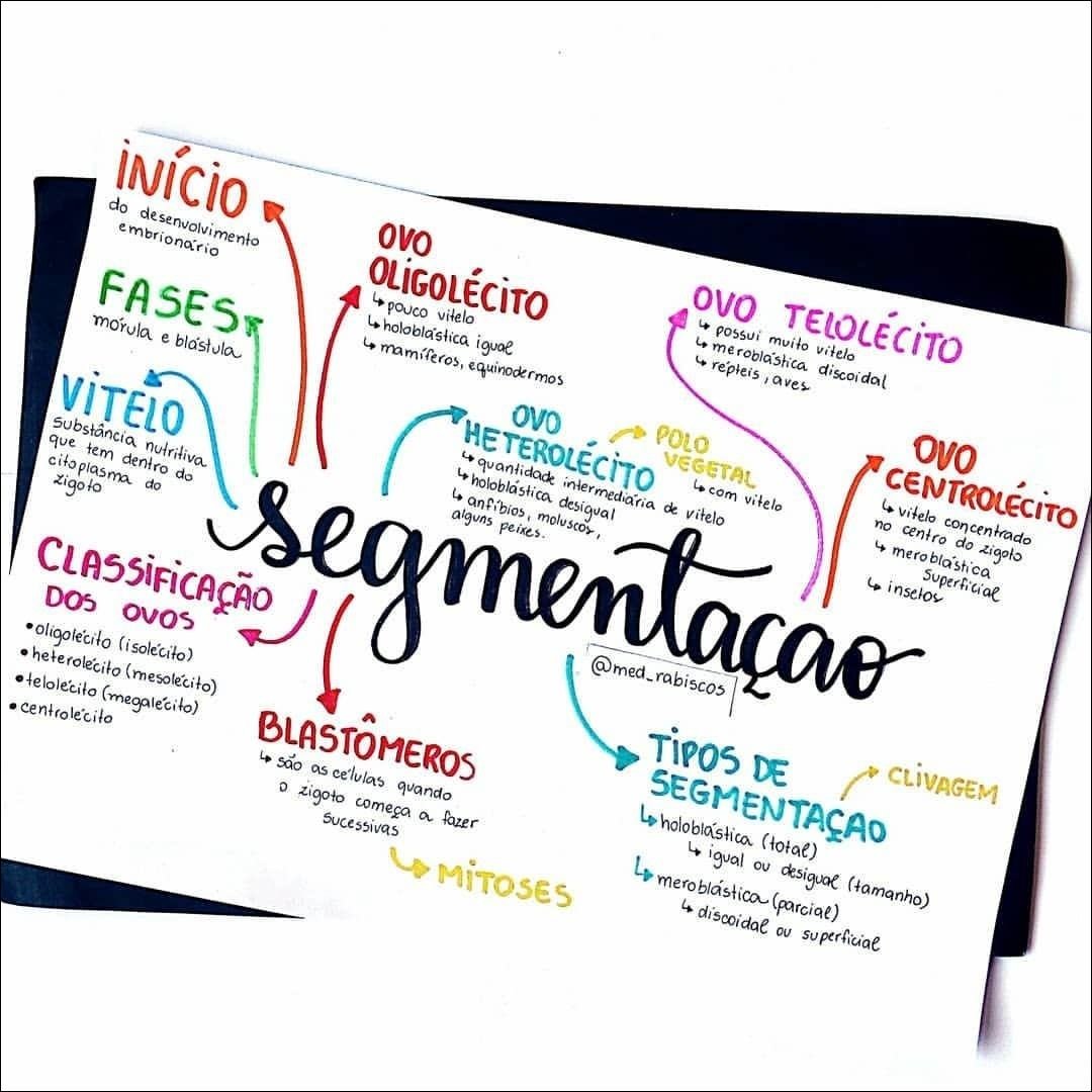Mapa mental com OVO no centro, ramificando-se para TELOLÉCiTO e OLIGOLÉCiTO