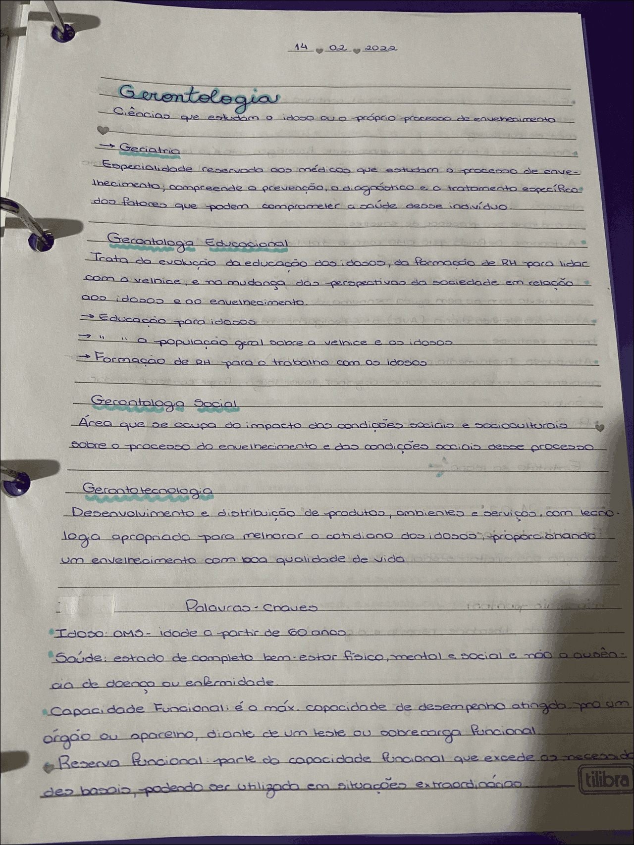 Mapa mental com Gerontologia no centro, ramificando-se para Geriatria e Gerontologia Educacional