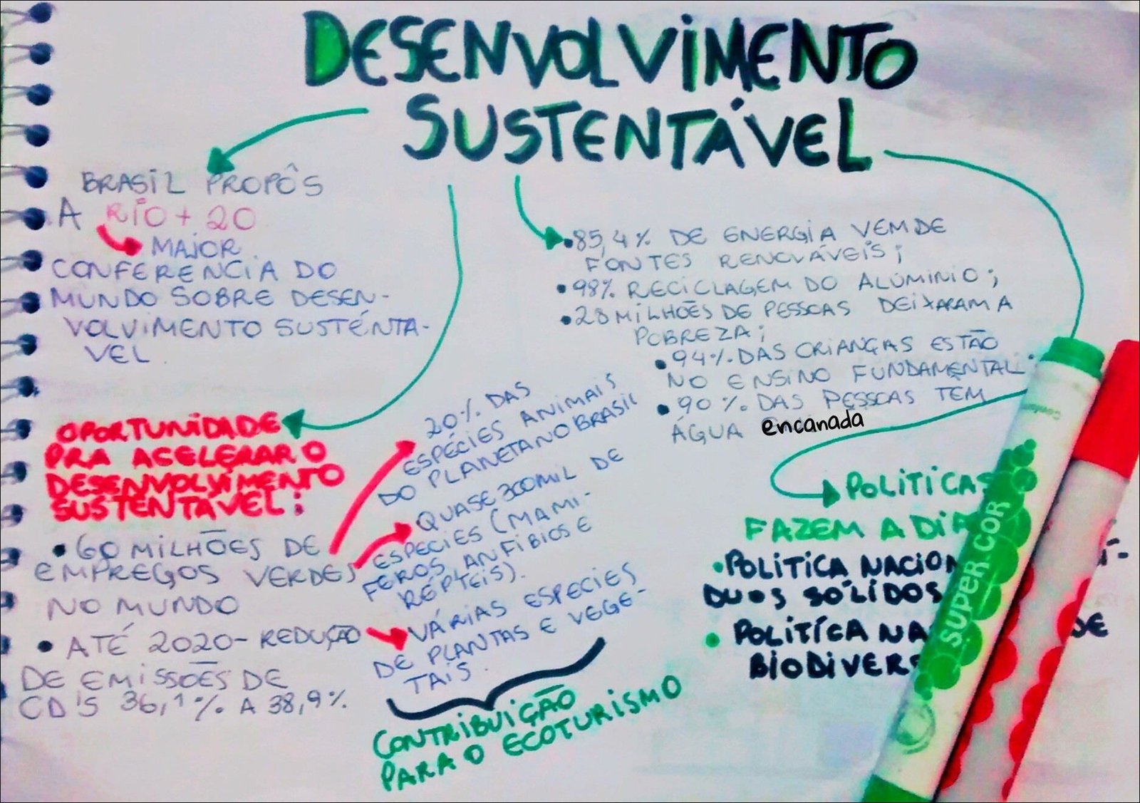 Mapa mental com Desenvolvimento como palavra central, ramificando-se para Sustentável e Brasil Propôs