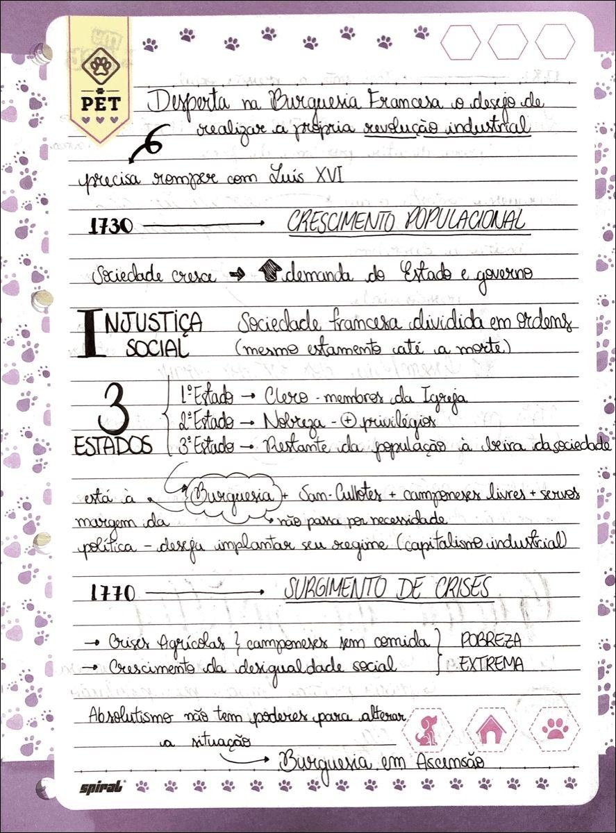 Mapa mental com PET no centro, ramificando-se para Desperta na Burquesia Francesa o desejo de e realizar a propria revolução industrial