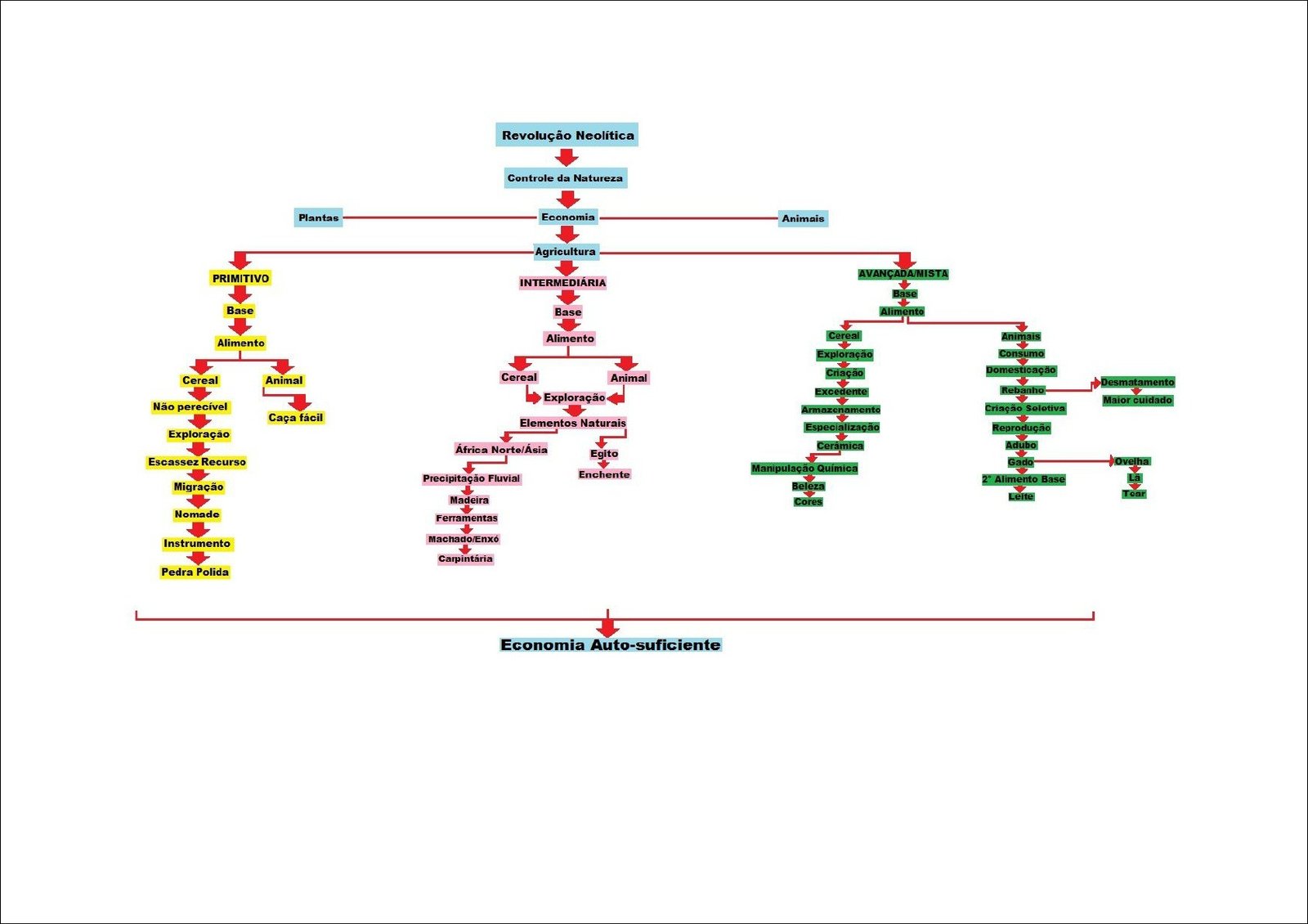 Evolução da economia primitiva