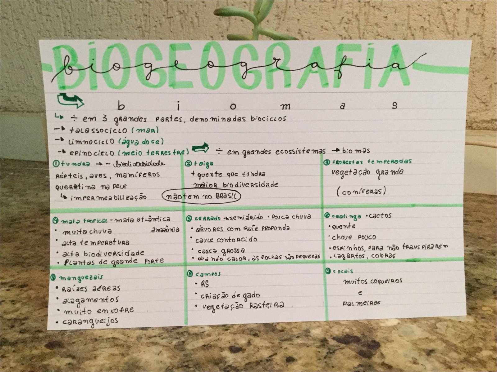 Mapa mental com Biogeografia no centro, ramificando-se para Biociclos, Talassociclo e Limnociclo