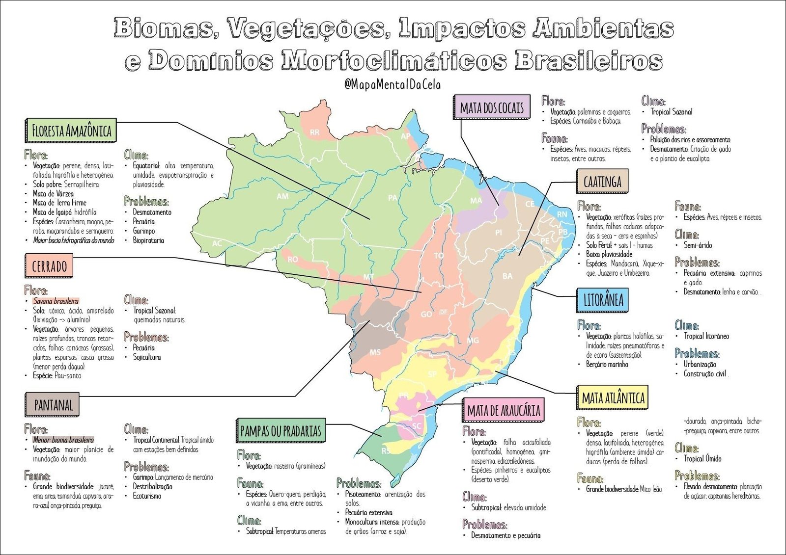 Mapa mental com Biomas Vegetações no centro, ramificando-se para Impactos Ambientais e Domínios Morfoclimáticos Brasileiros