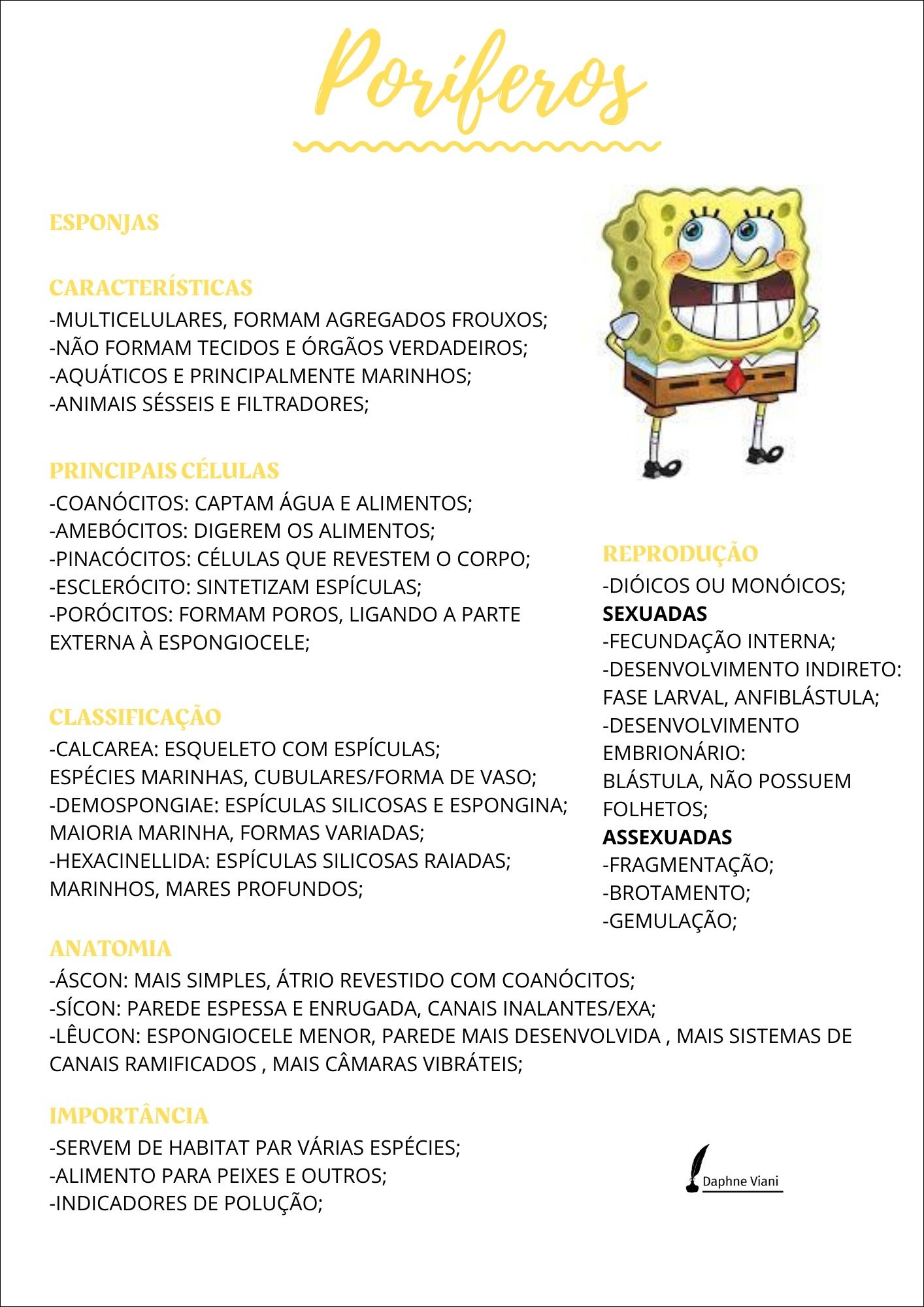 Mapa mental com Poríferos no centro, ramificando-se para Características e Reprodução