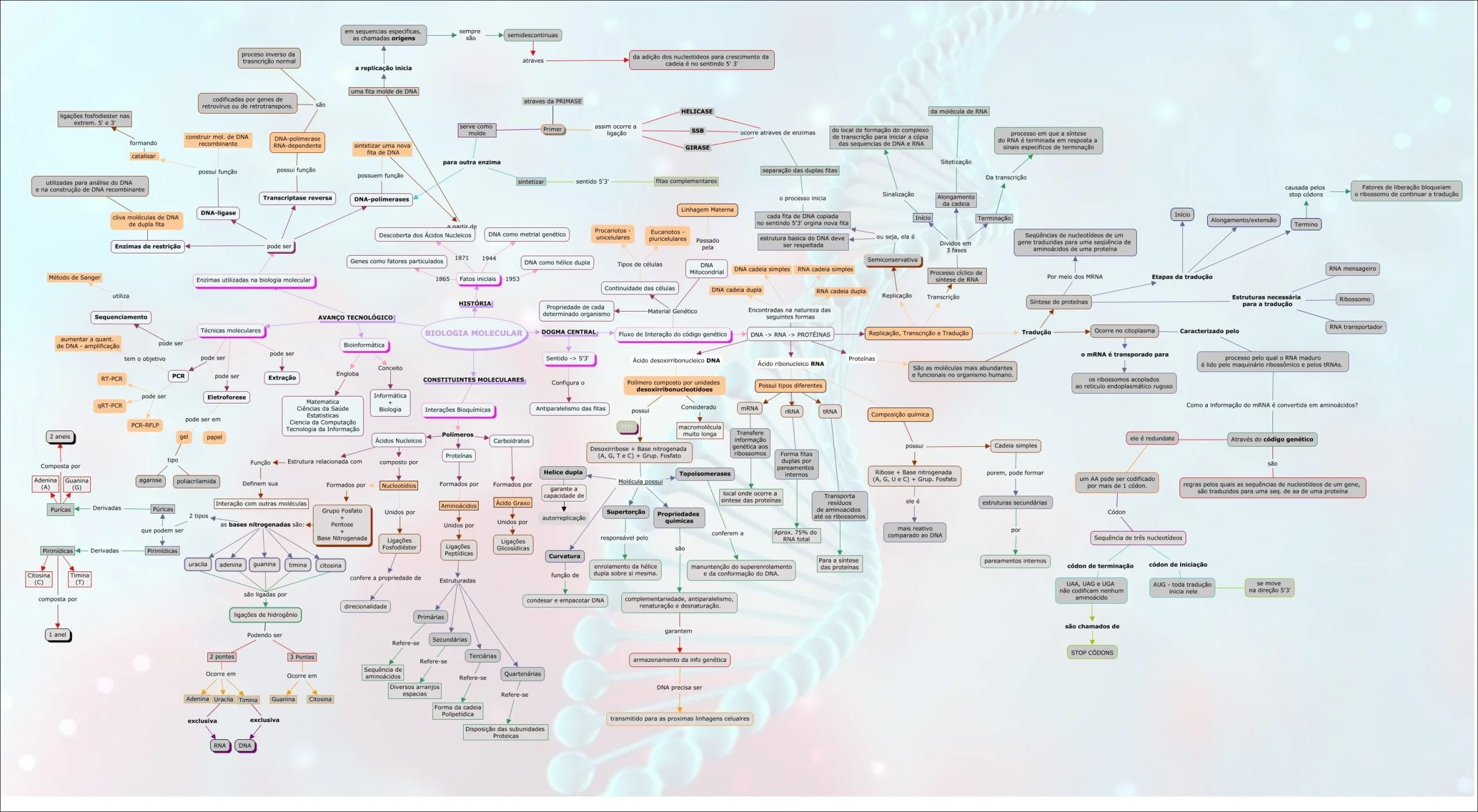 Mapas Mentais sobre DUPLICAÇÃO DO DNA - Study Maps  Duplicação do dna,  Replicação do dna, Transcrição e tradução