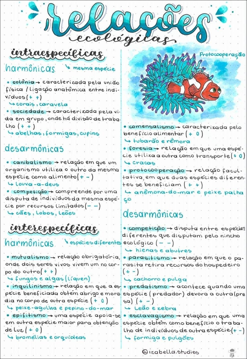 Mapa mental com relações no centro, ramificando-se para eco légicas, intraespecíficas e Protocooperação