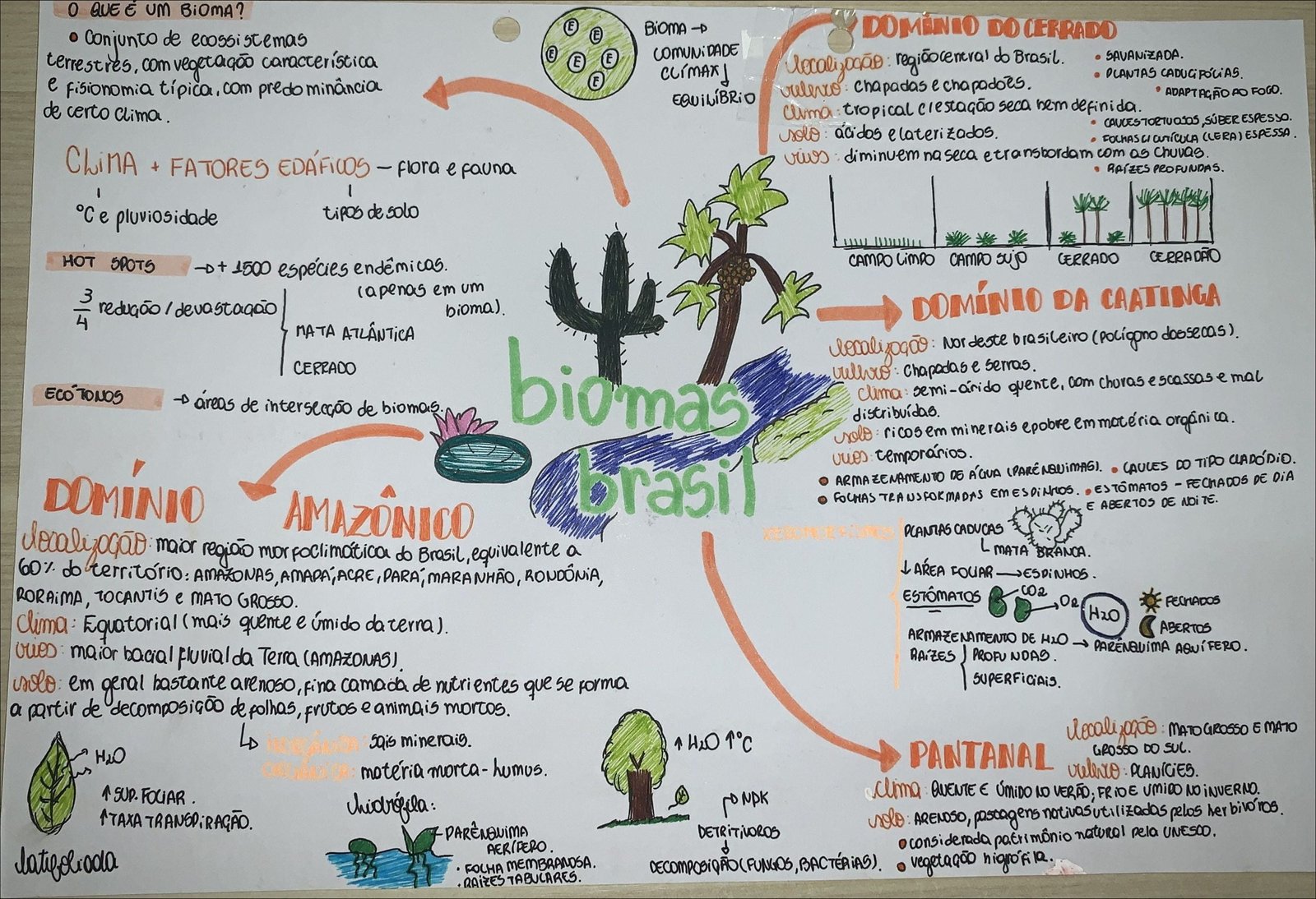 Mapa mental com Bioma no centro, ramificando-se para Bioma D e Domínio do Cerrado