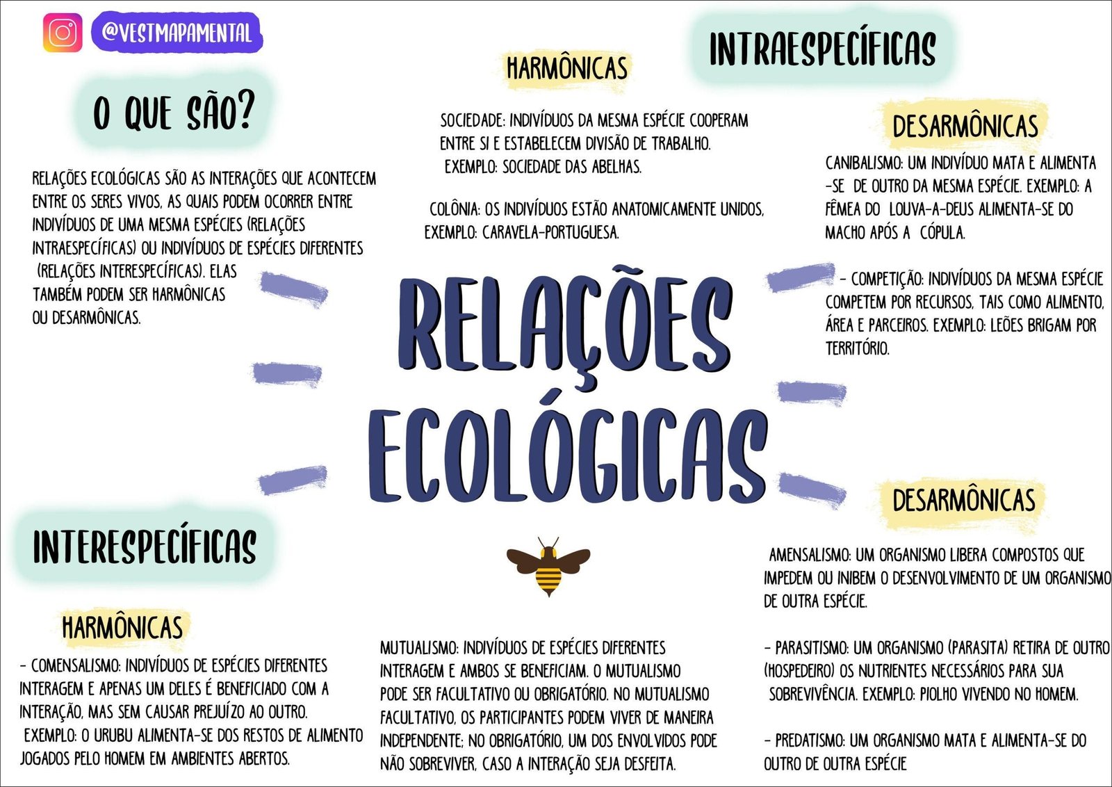 Mapa mental com Relações Ecológicas no centro, ramificando-se para Intraespecíficas e Interespecíficas
