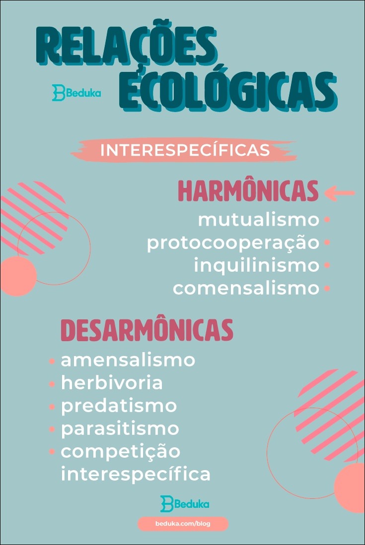 Mapas Mentais Sobre RELAÇÕES ECOLÓGICAS - Study Maps