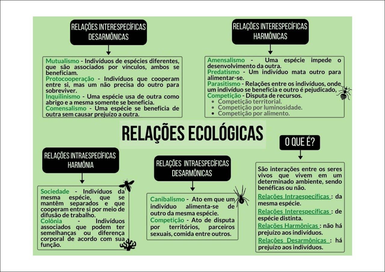 Relações Interespecíficas em Ecologia