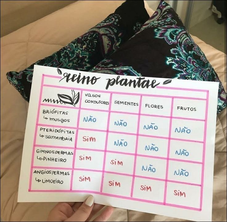 Mapa mental com SEMENTES no centro, ramificando-se para FRUTOS e FLORES