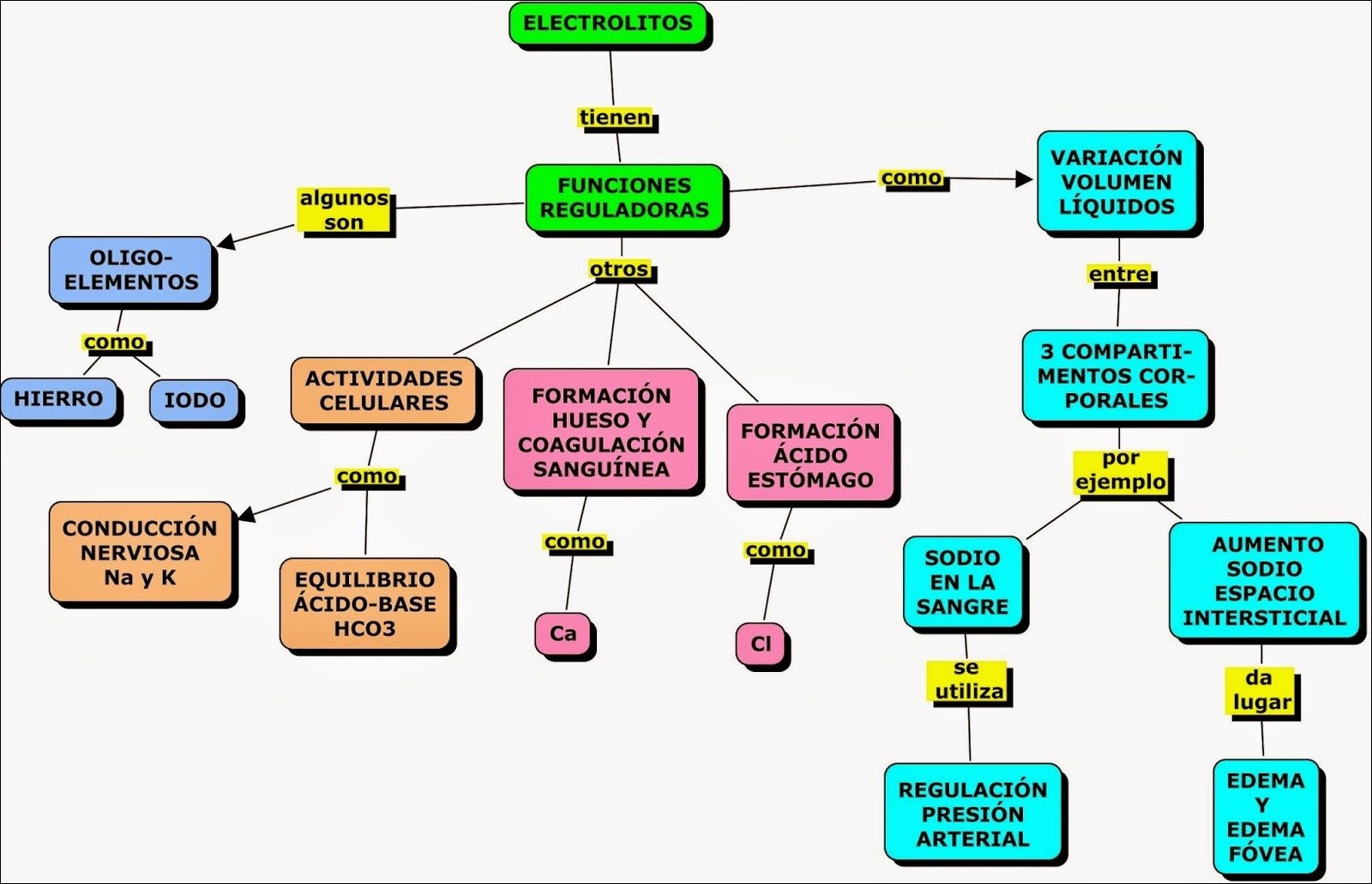 Mapa mental sobre Regulação Sódio-Potássio, ramificando-se para Variação Sódio Sanguínea e Regulação da Pressão Arterial