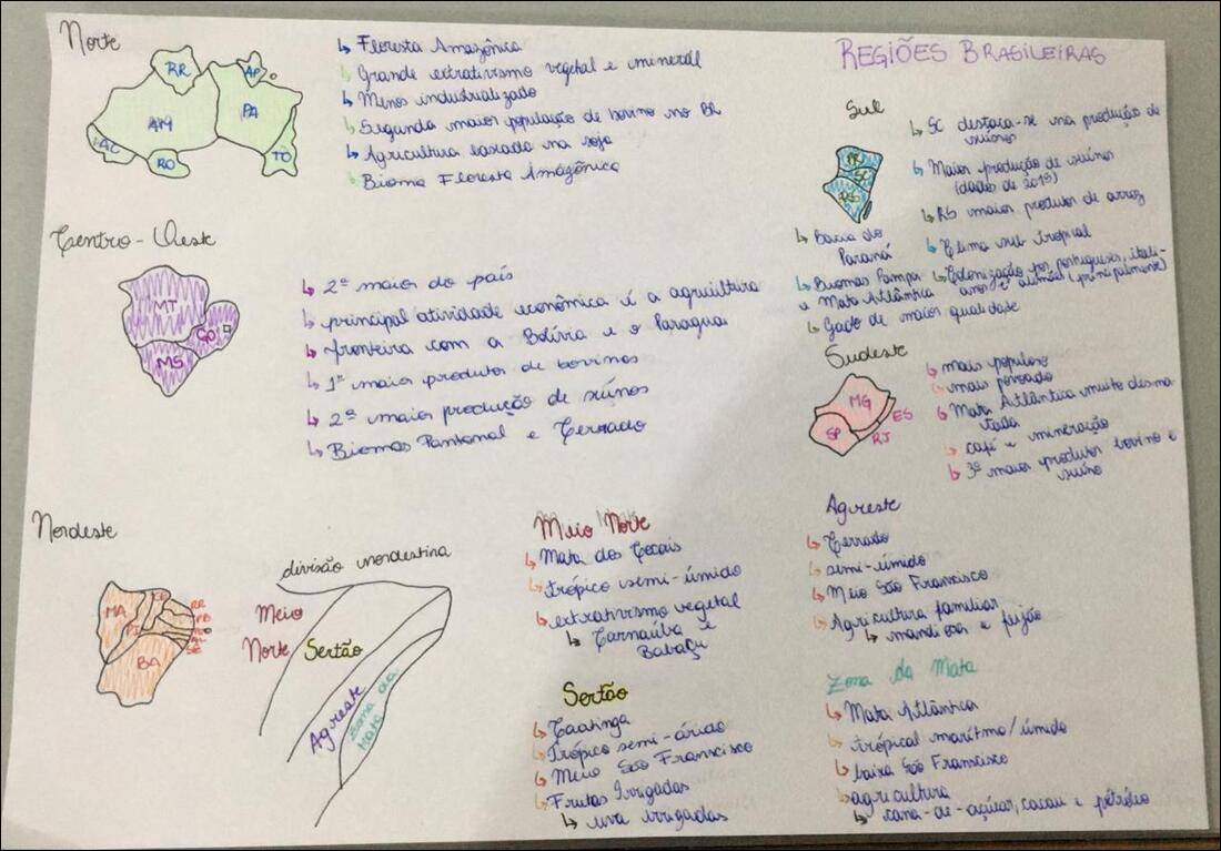 Mapas Mentais sobre REGIÕES BRASILEIRAS - Study Maps