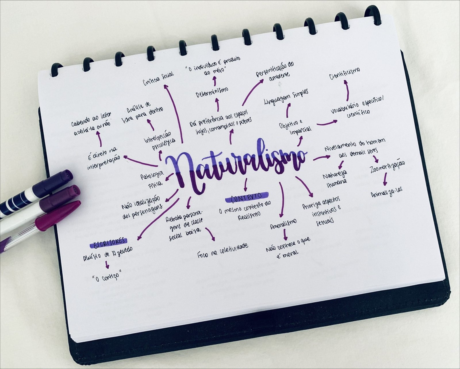 Mapa mental com Naturabson no centro, ramificando-se para Determinismo e Instintivos e
