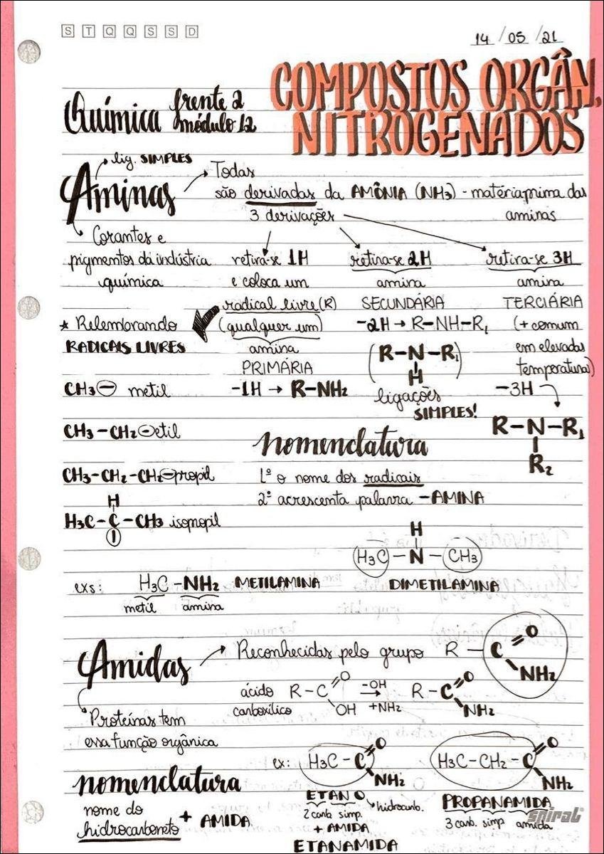 Mapa mental com Aminas no centro, ramificando-se para PRIMÁRIA e SECUNDARIA