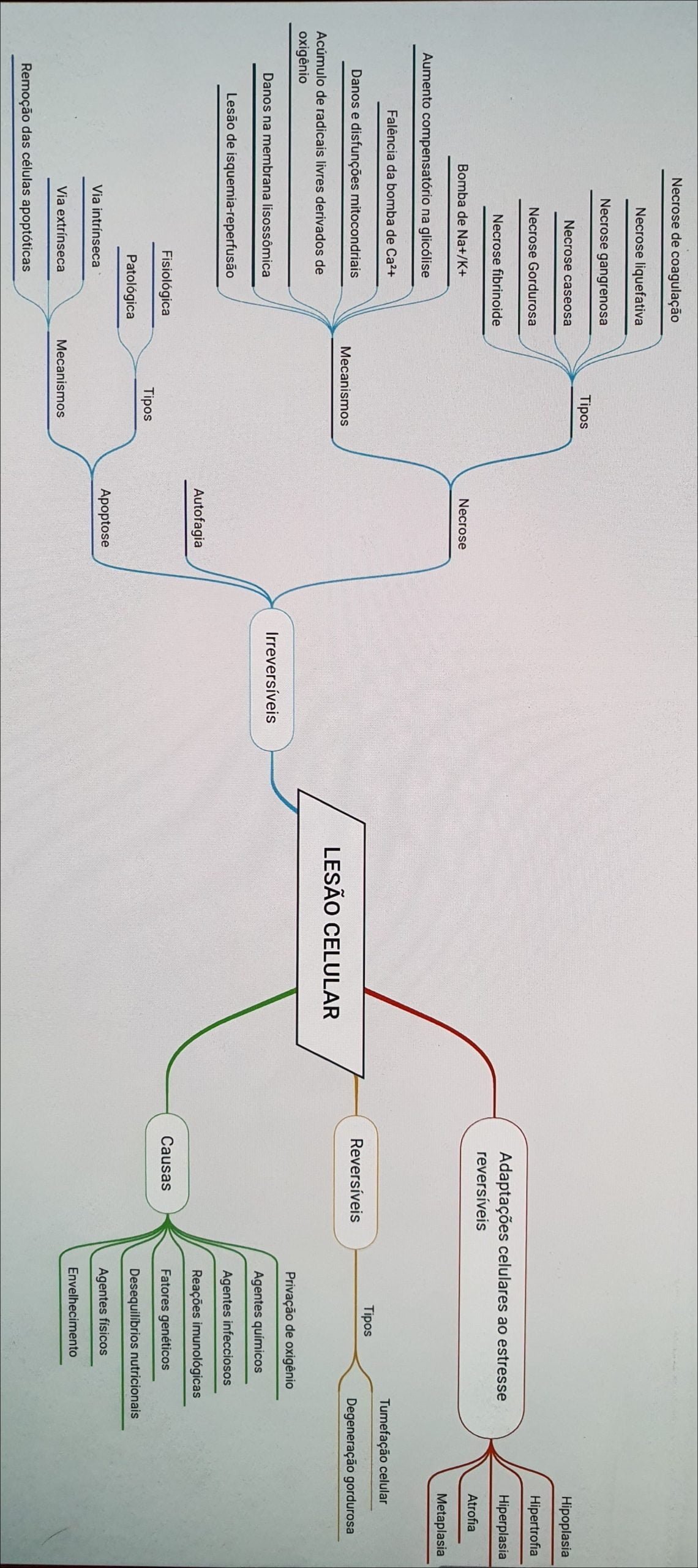 Mapa mental com Lesão celular no centro, ramificando-se para Necrose, Apoptose e Metaplasia