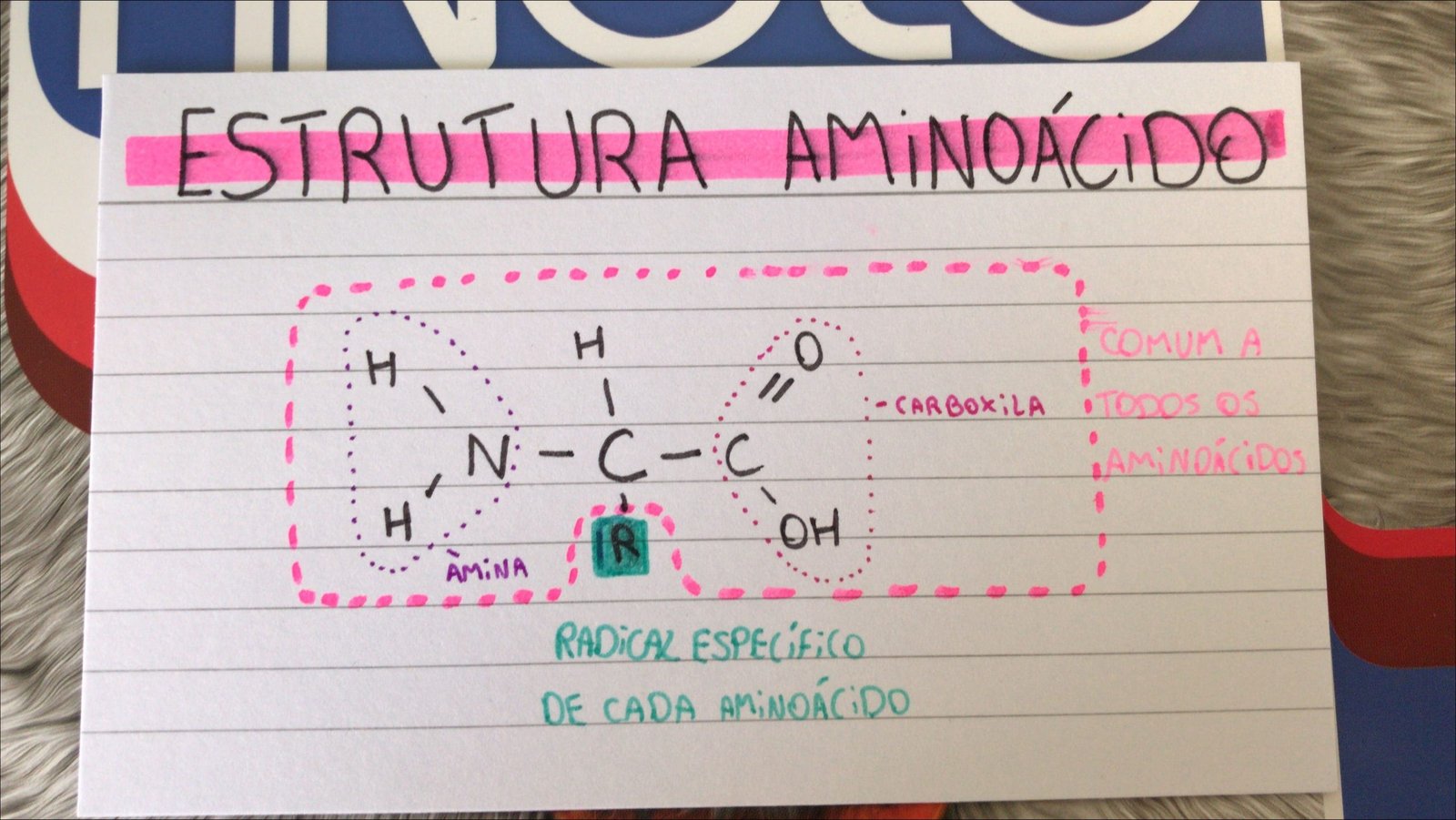 Mapa mental com ESTRUTURA AMiNOÁCiDO no centro, ramificando-se para COMUM A e CARBOXiLA