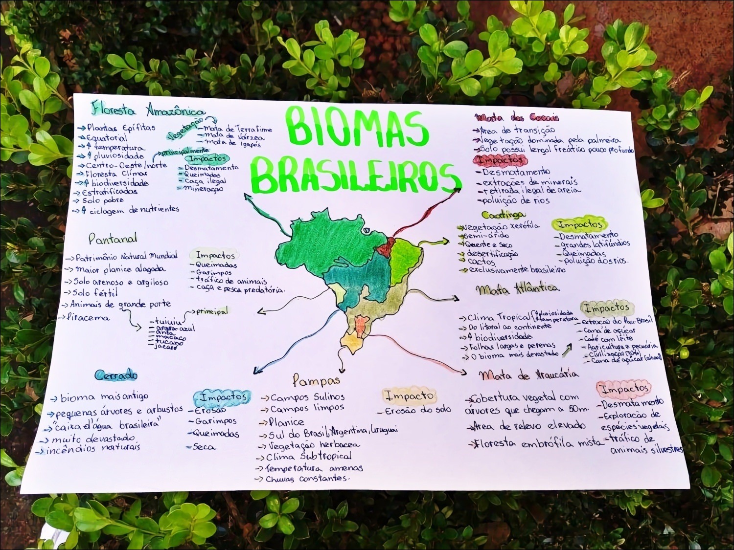BIOMAS BRASILEIROS - Parte 1, GEOGRAFIA, Mapa Mental