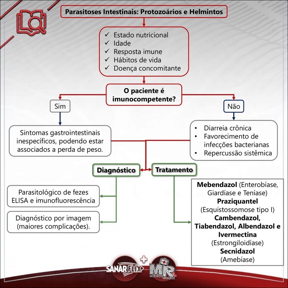 Mapas Mentais Sobre HELMINTOS - Study Maps