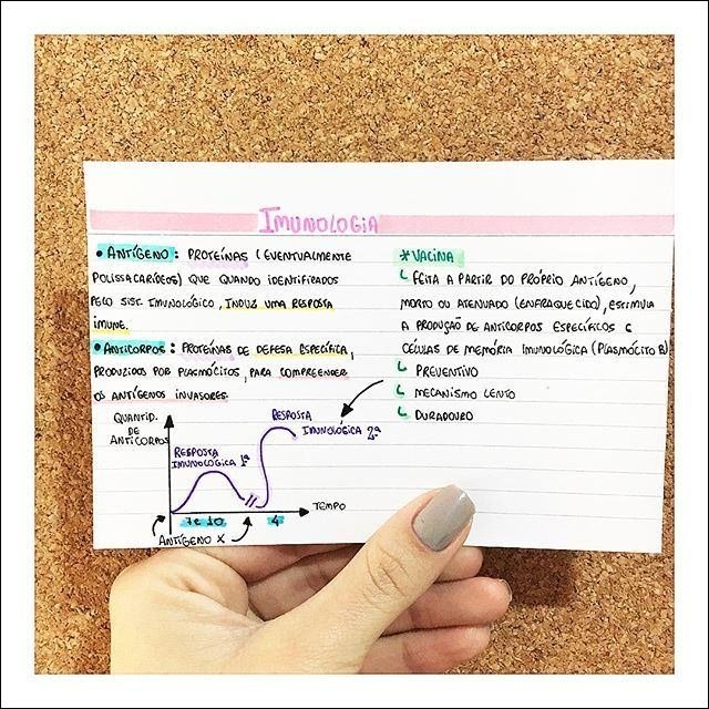 Mapa mental com Imunologia no centro, ramificando-se para Antígeno, Proteínas e Eventualmente