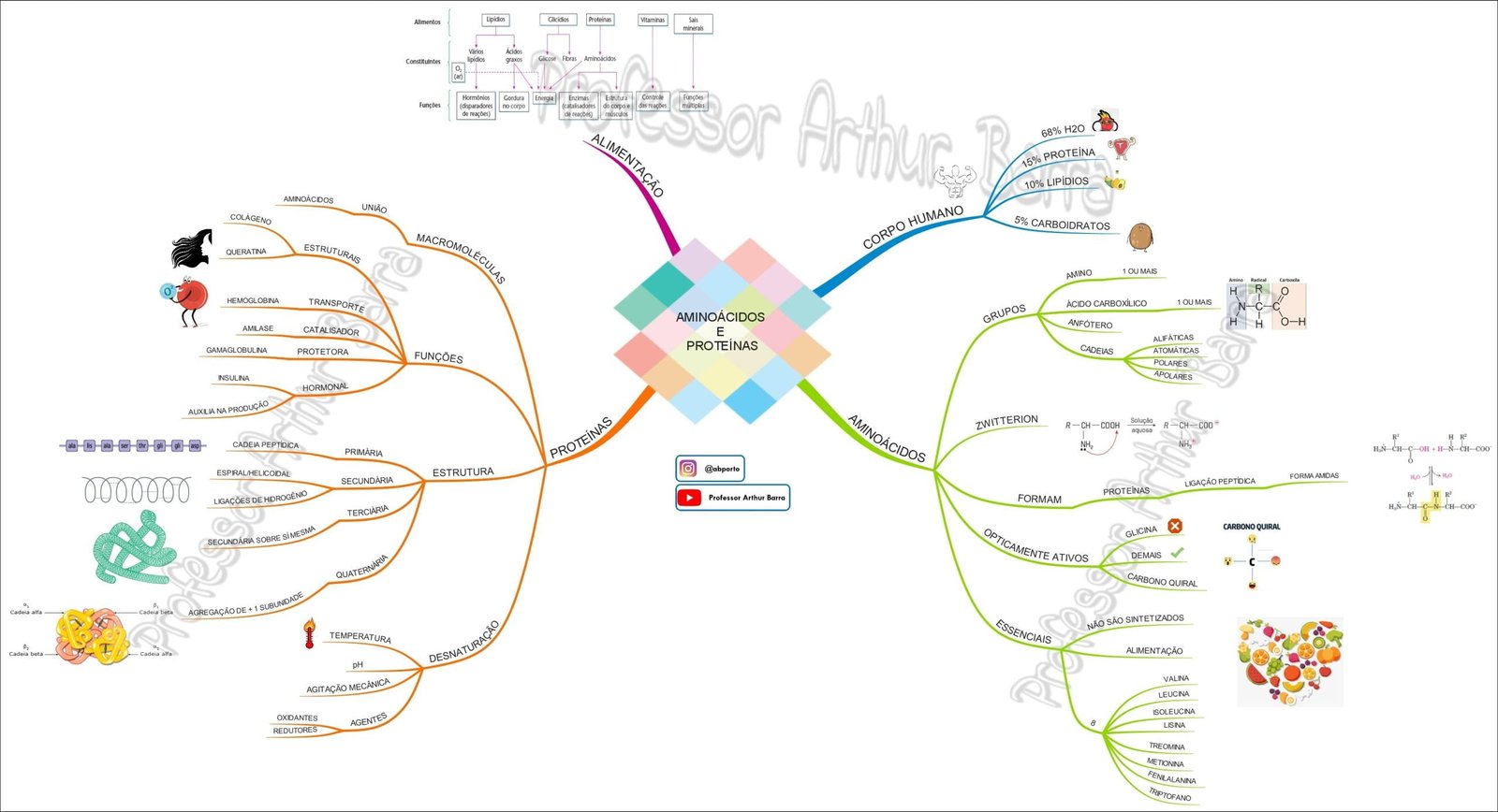 O mapa mental trata sobre PROTEÍNAS e seus constituintes