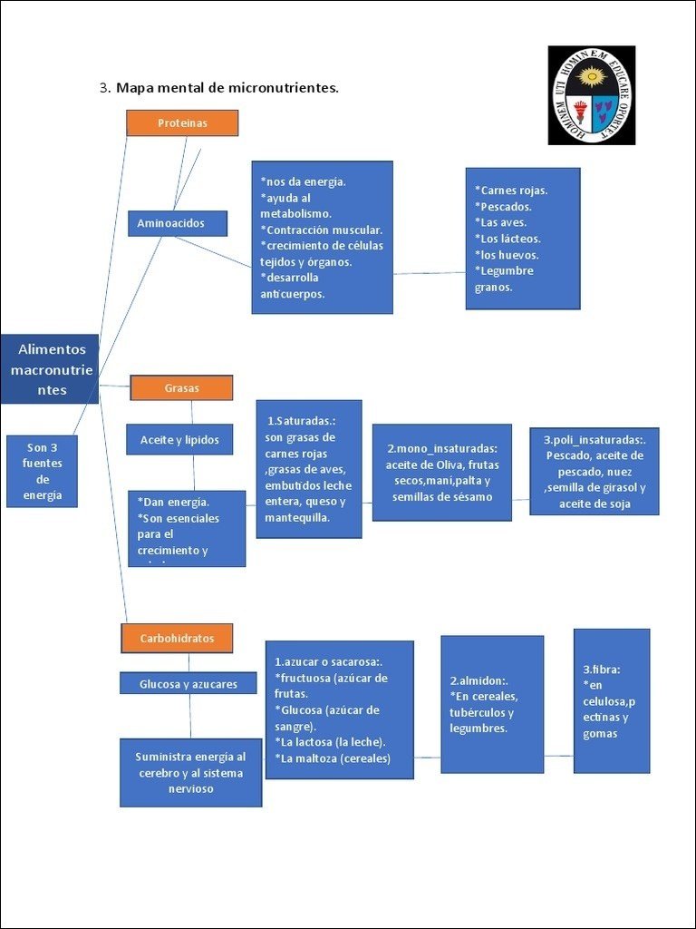 Mapa mental sobre micronutrientes, ramificando-se para Proteinas, Carnes rojas, Pescados, Las aves, Aminoacidos, Los lácteos e Legumbre