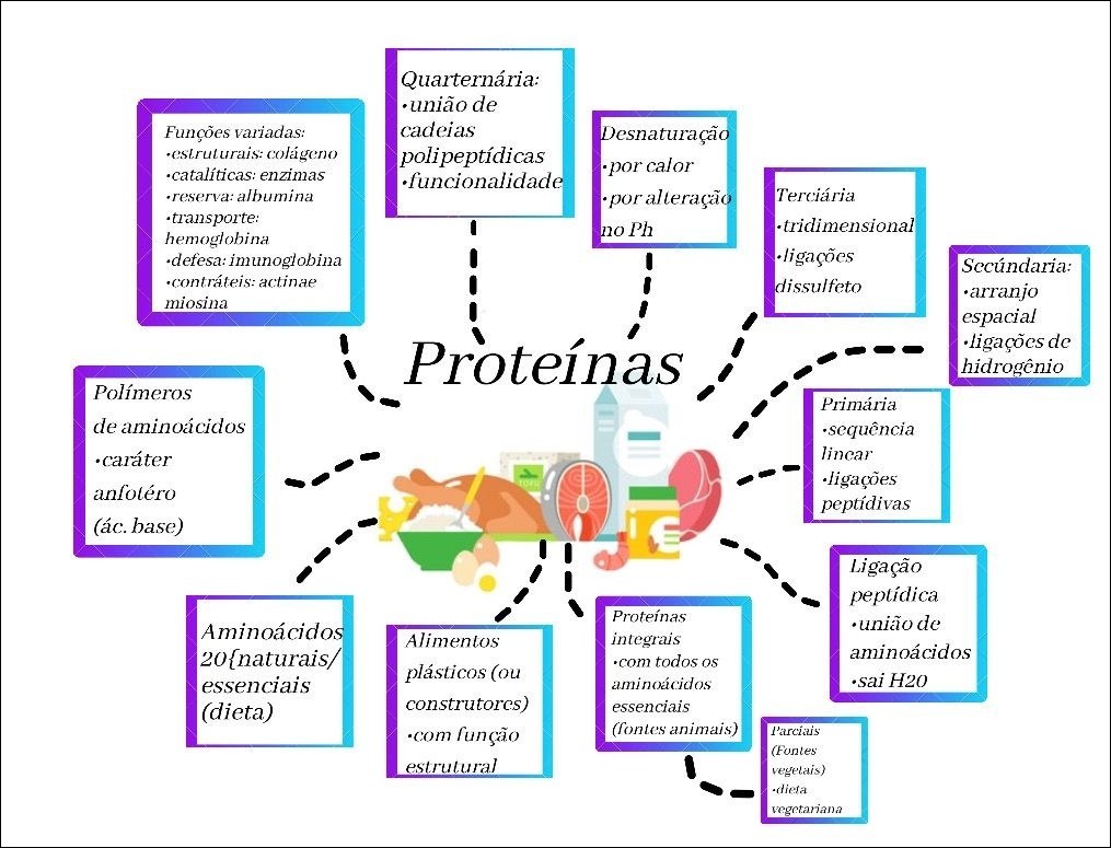 Mapas Mentais Sobre PROTEINAS Study Maps