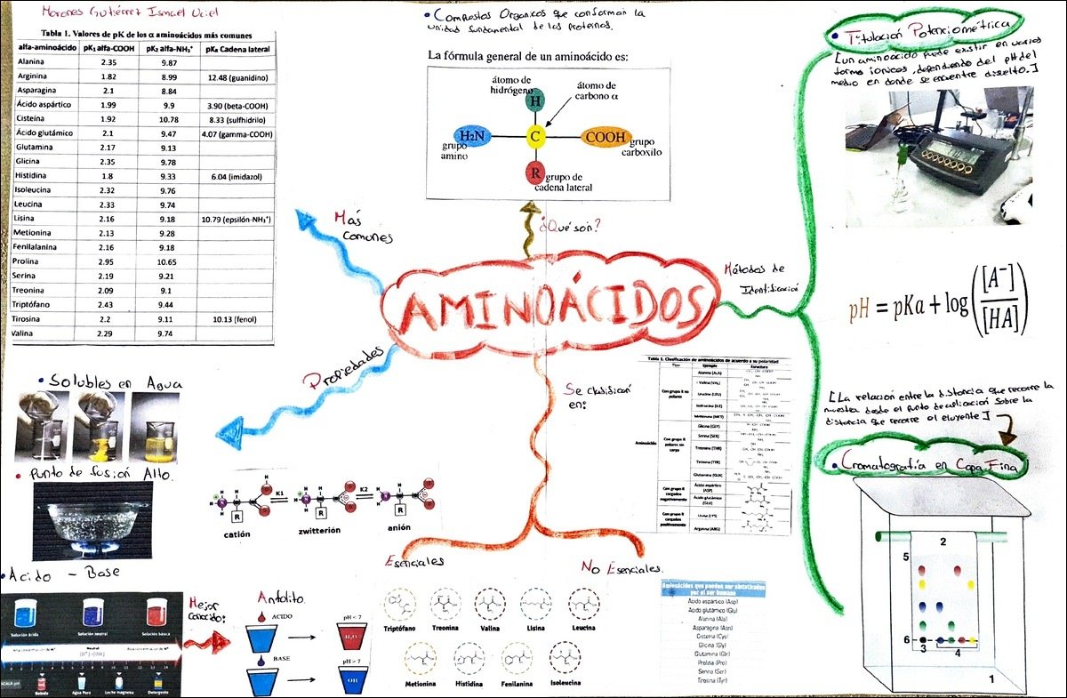 Mapa mental com Compostos Orgânicos que conformam a unidade Suddemental be los proteinos, ramificando-se para Alanina e Arginina