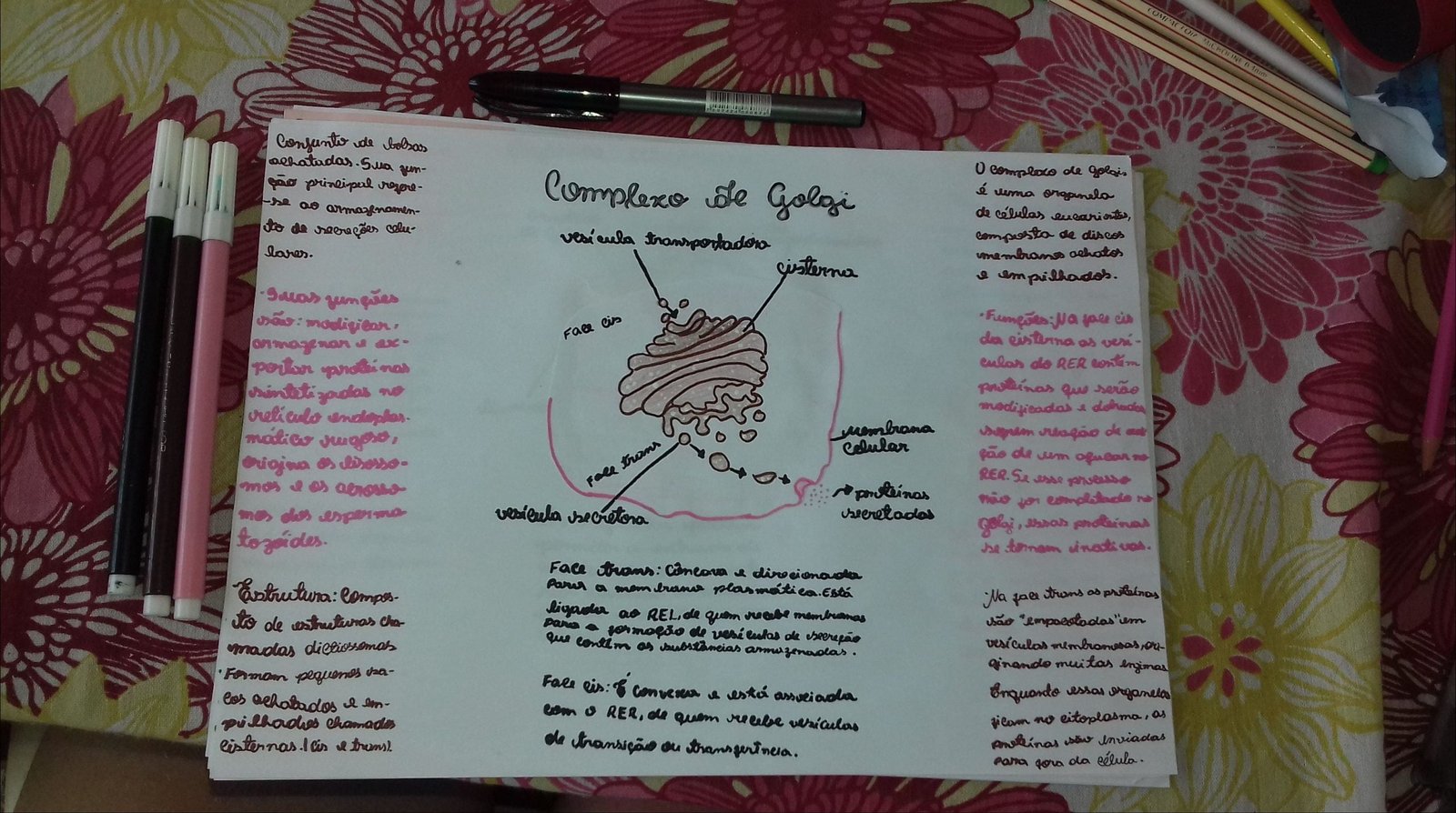 Mapa mental com COMPT FOR MICKOLINE no centro, ramificando-se para Anim, Conjunto e wele bobas