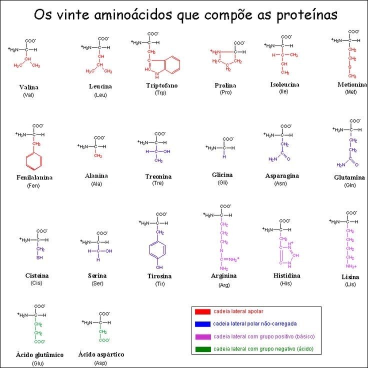 Aminoácidos e proteínas