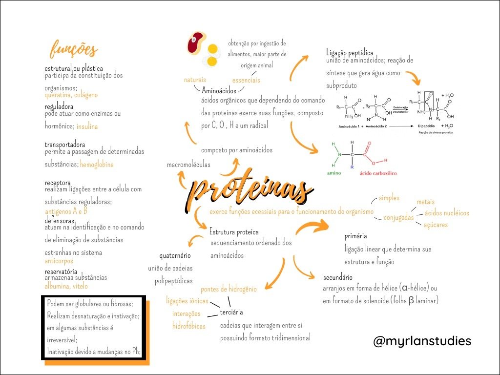 Mapa mental com Aminoácidos no centro, ramificando-se para obtenção por ingestão de e funções