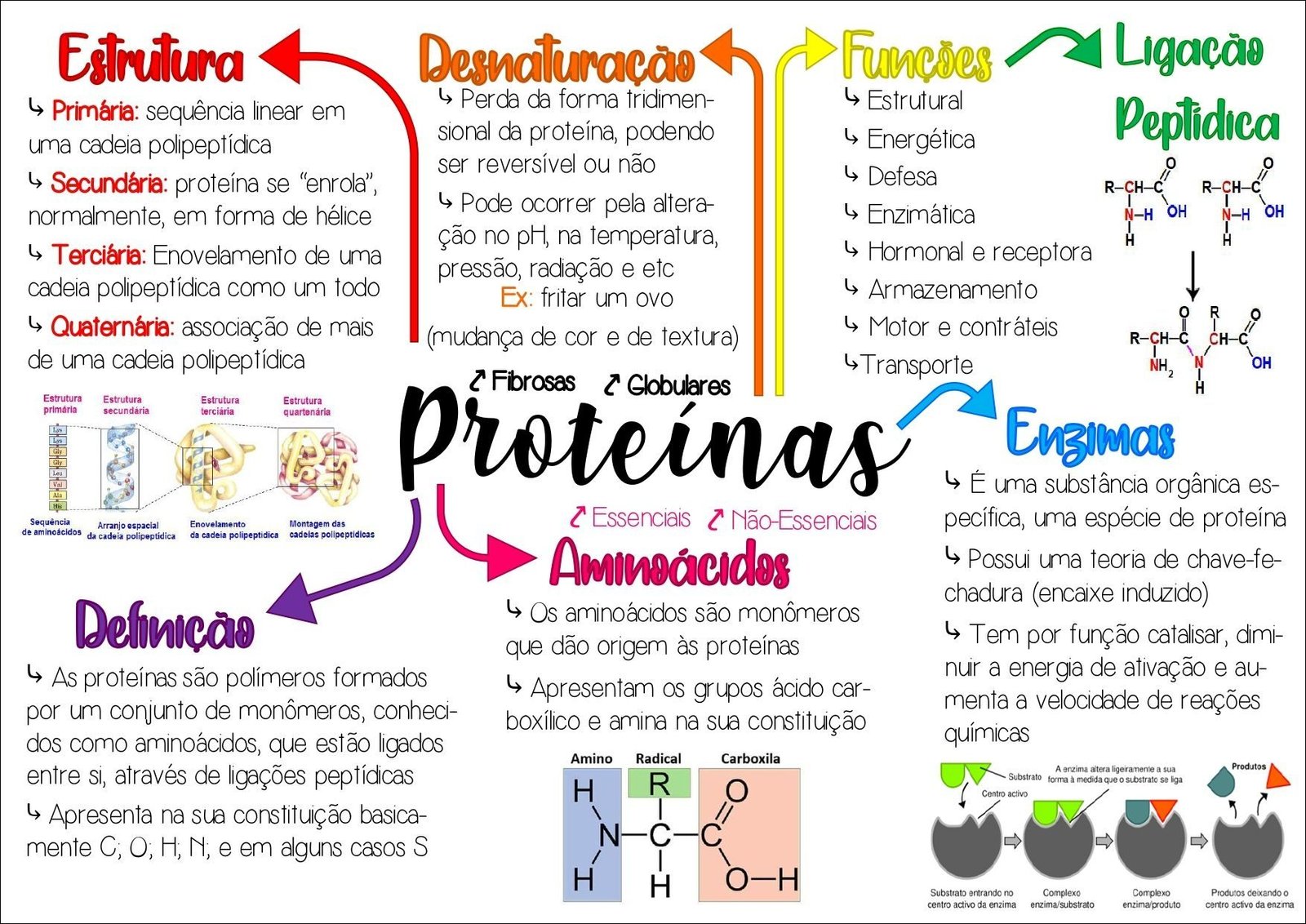 Mapa mental com Ligação no centro, ramificando-se para Funções e Estrutura