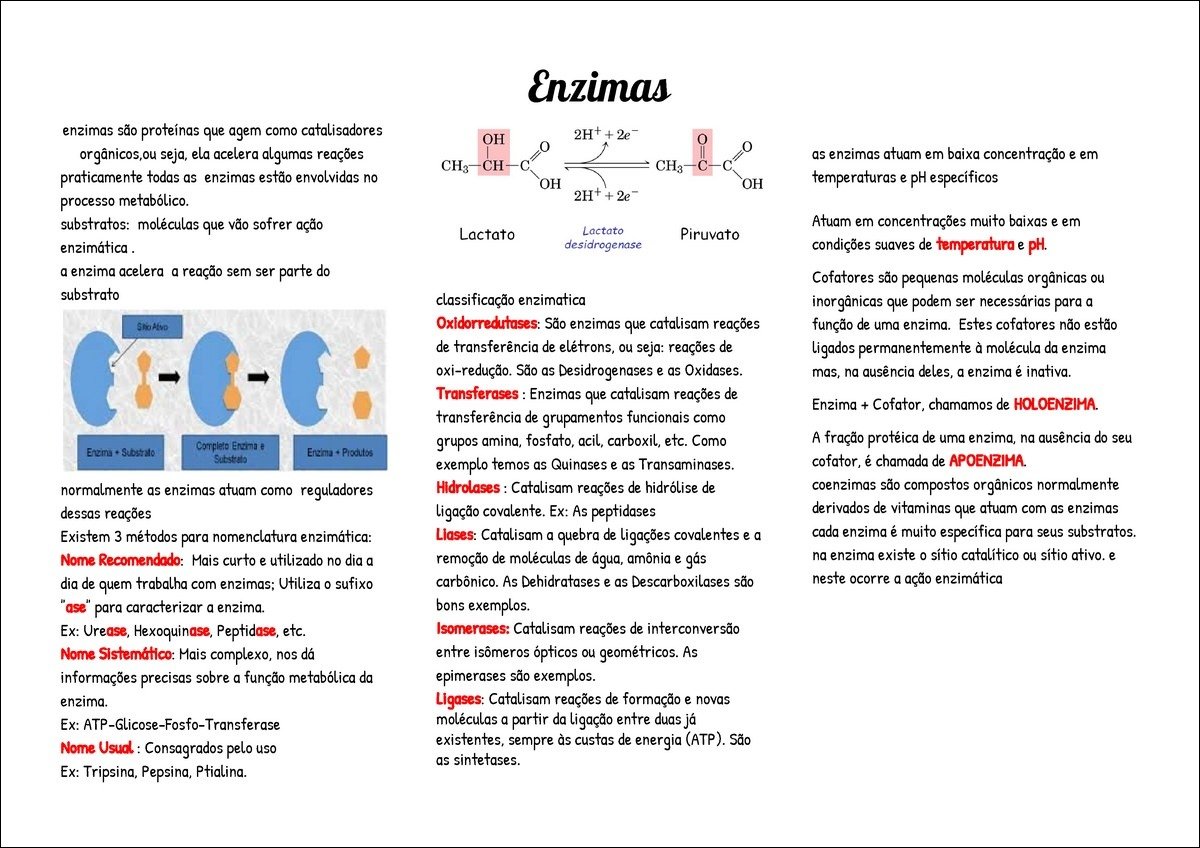 Mapa mental com Enzimas no centro, ramificando-se para Proteínas e Catalisadores
