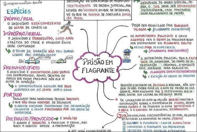 Mapa mental com RESTRIÇÃO DE LIBERDADE no centro, ramificando-se para RÉU, INDIVÍDUO, INDEPENDENTE DE ORDEM JUDICIAL