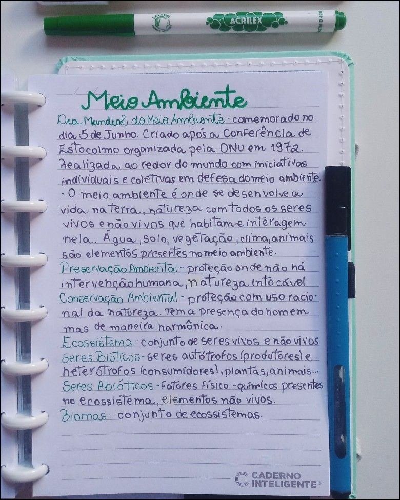 Mapa mental com Meio Ambiente no centro, ramificando-se para Dia Mundial do Meio Ambiente e Preservação Ambiental