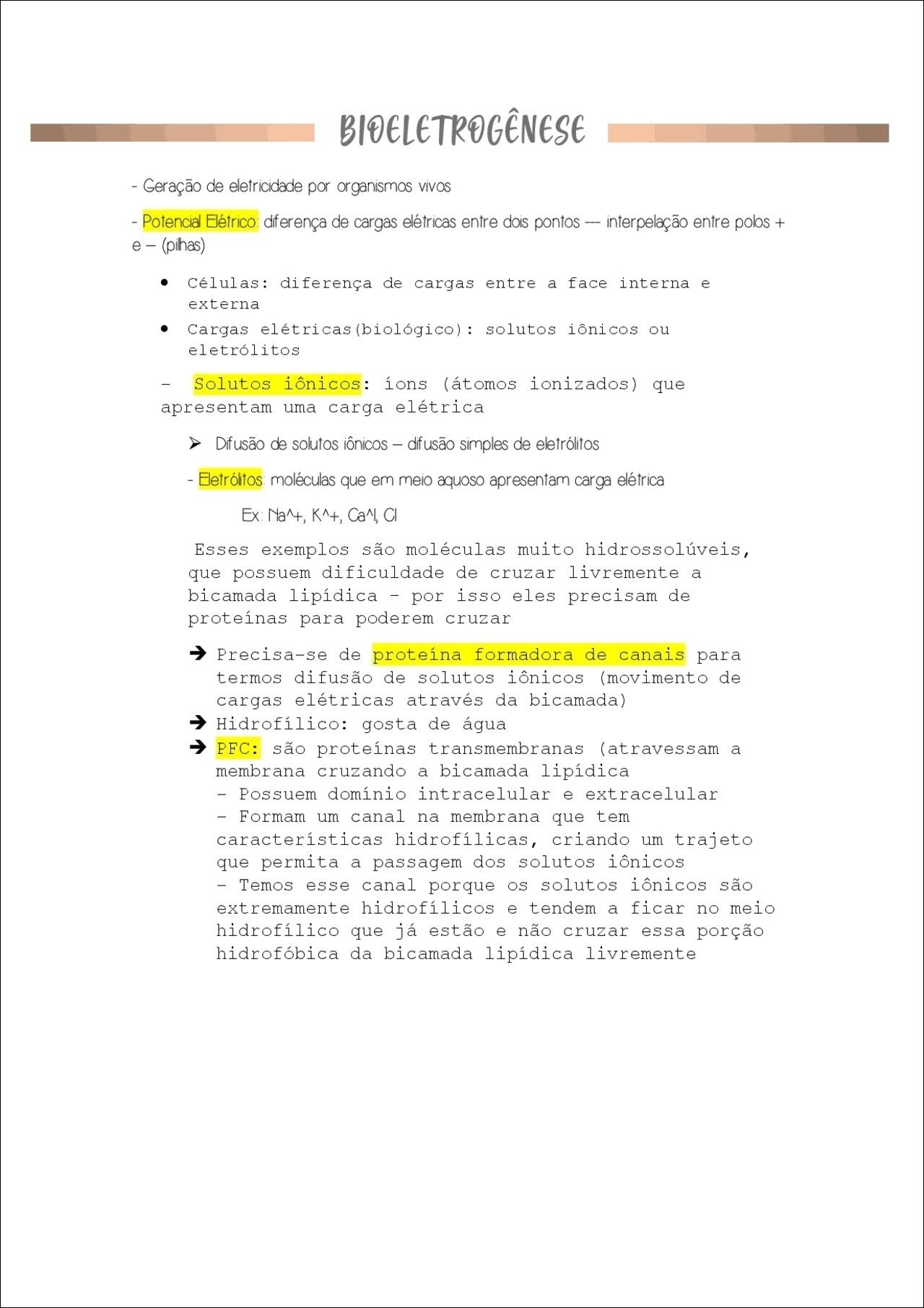 Mapa mental com BIOELETROGÊNESE no centro, ramificando-se para Geração de eletricidade por organismos vivos e Potencial Elétrico