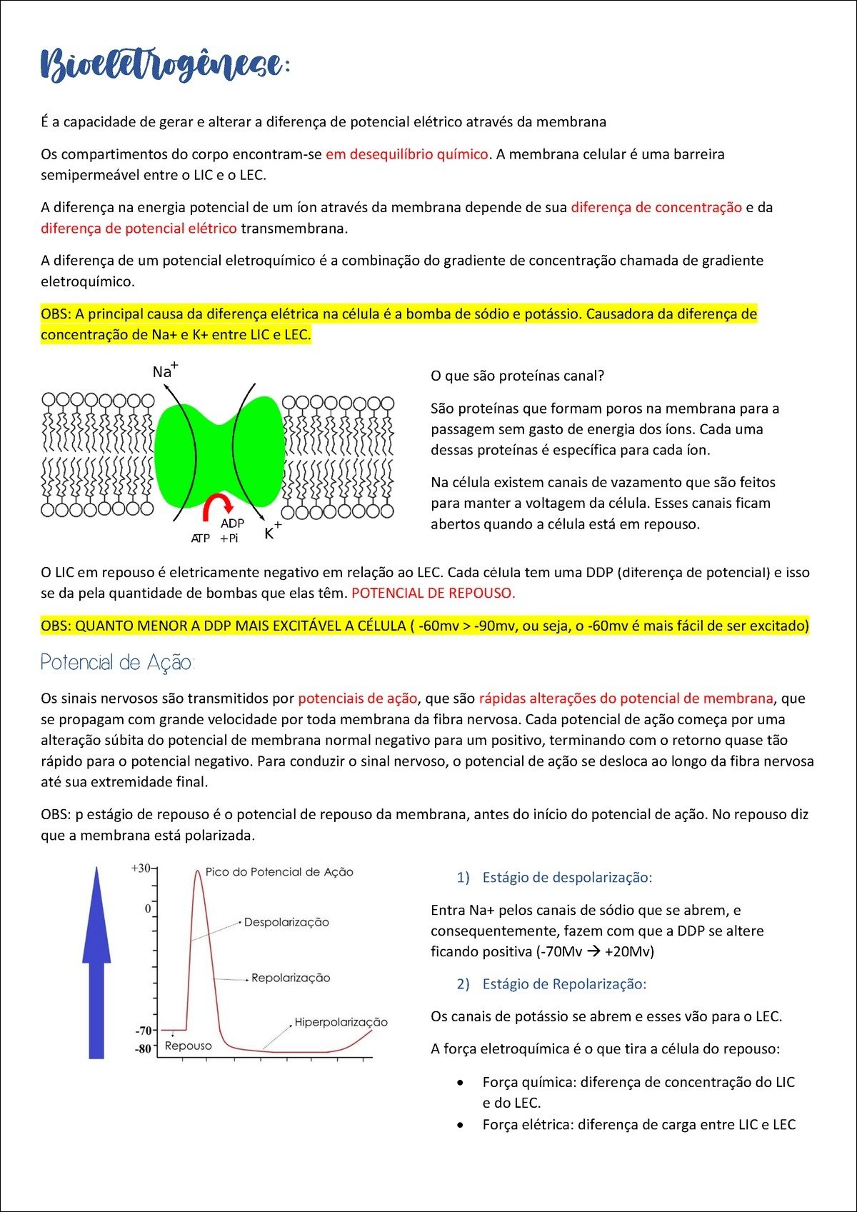 Mapa mental com Bioeletrogênece no centro, ramificando-se para Capacidade de gerar e alterar a diferença de potencial elétrico através da membrana e Compartimentos do corpo em desequilíbrio químico