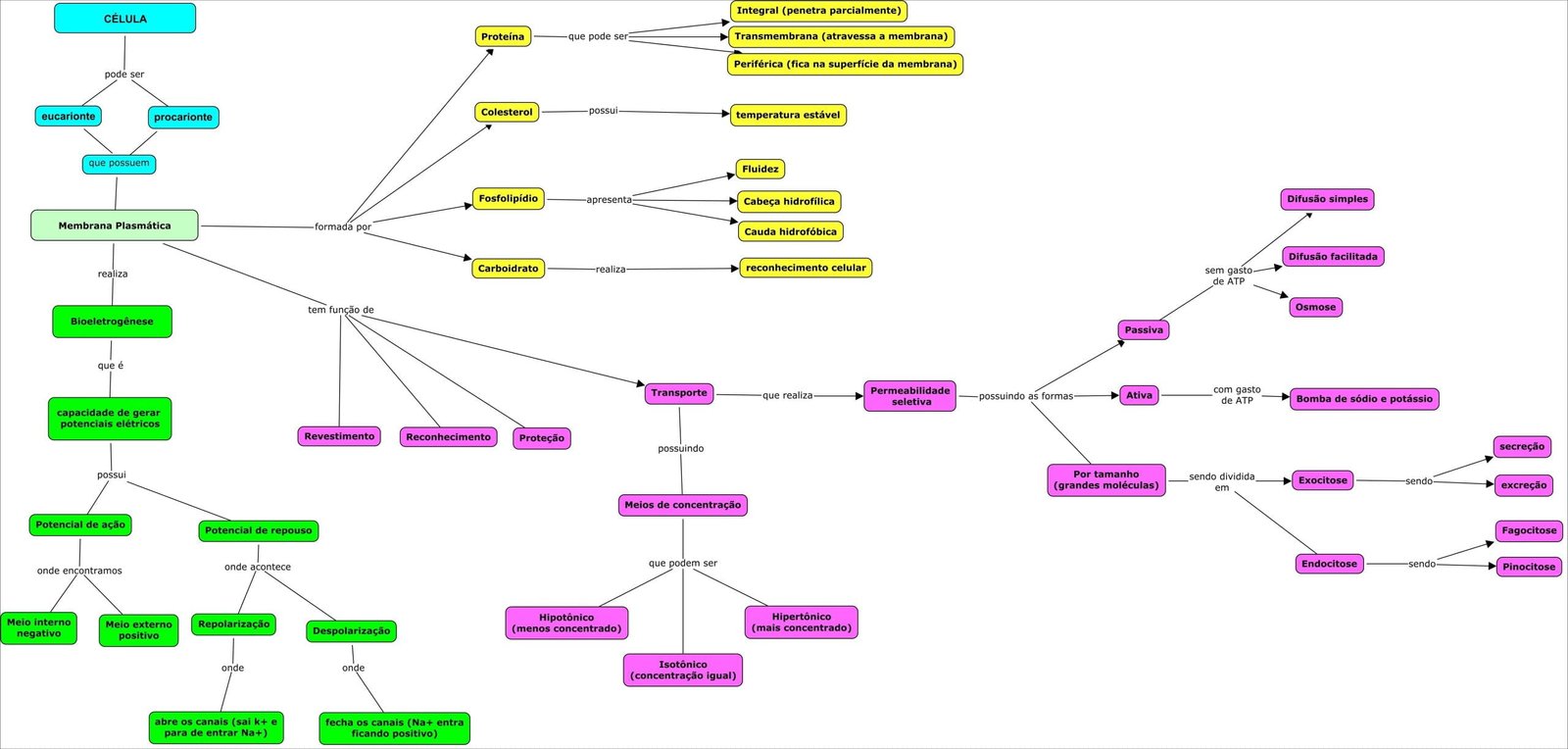 Mapa mental sobre a Membrana Plasmática, ramificando-se para Transporte, Revestimento e Proteção