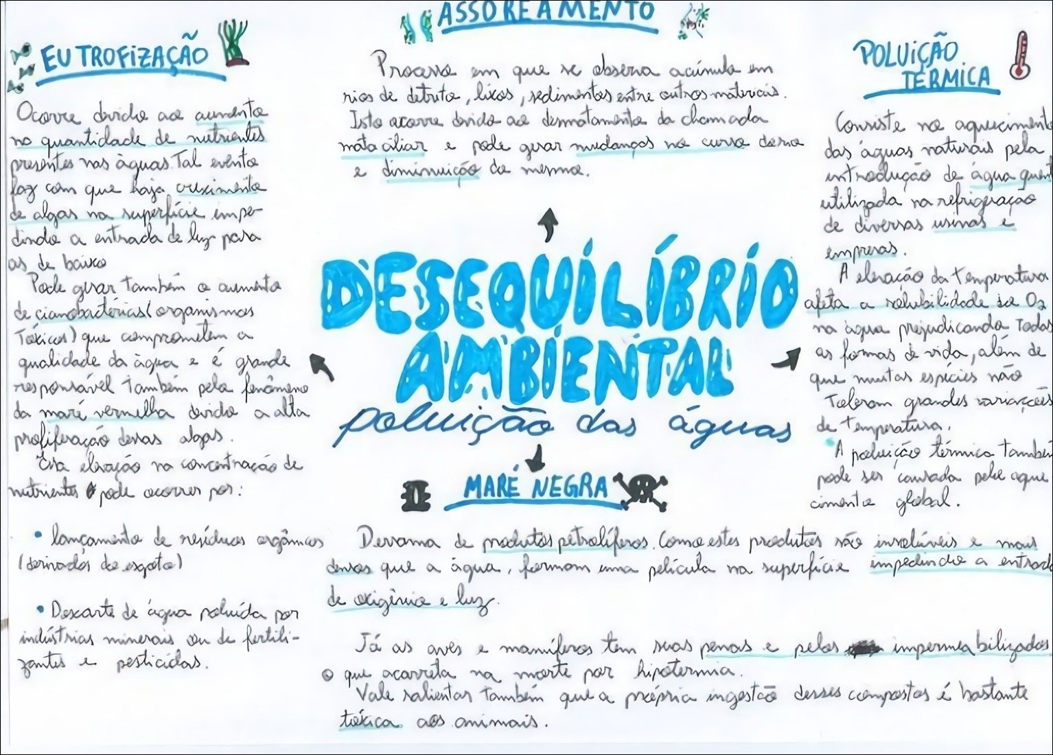 Mapa mental com ASSOREAMENTO no centro, ramificando-se para EU TROFIZAÇÃO e POLUiÇÃO