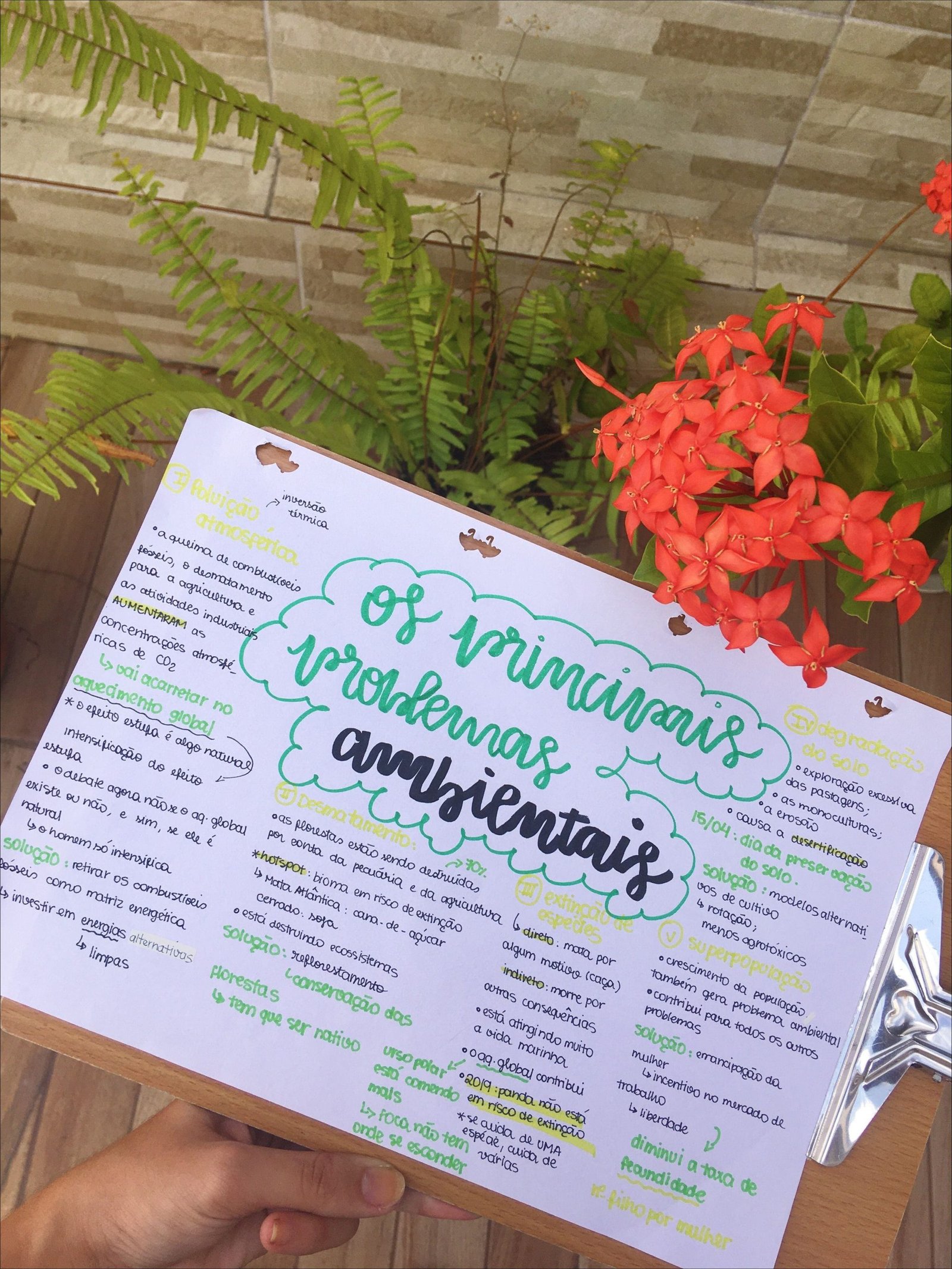 Mapa mental com IV degradação, ramificando-se para inversão e do solo