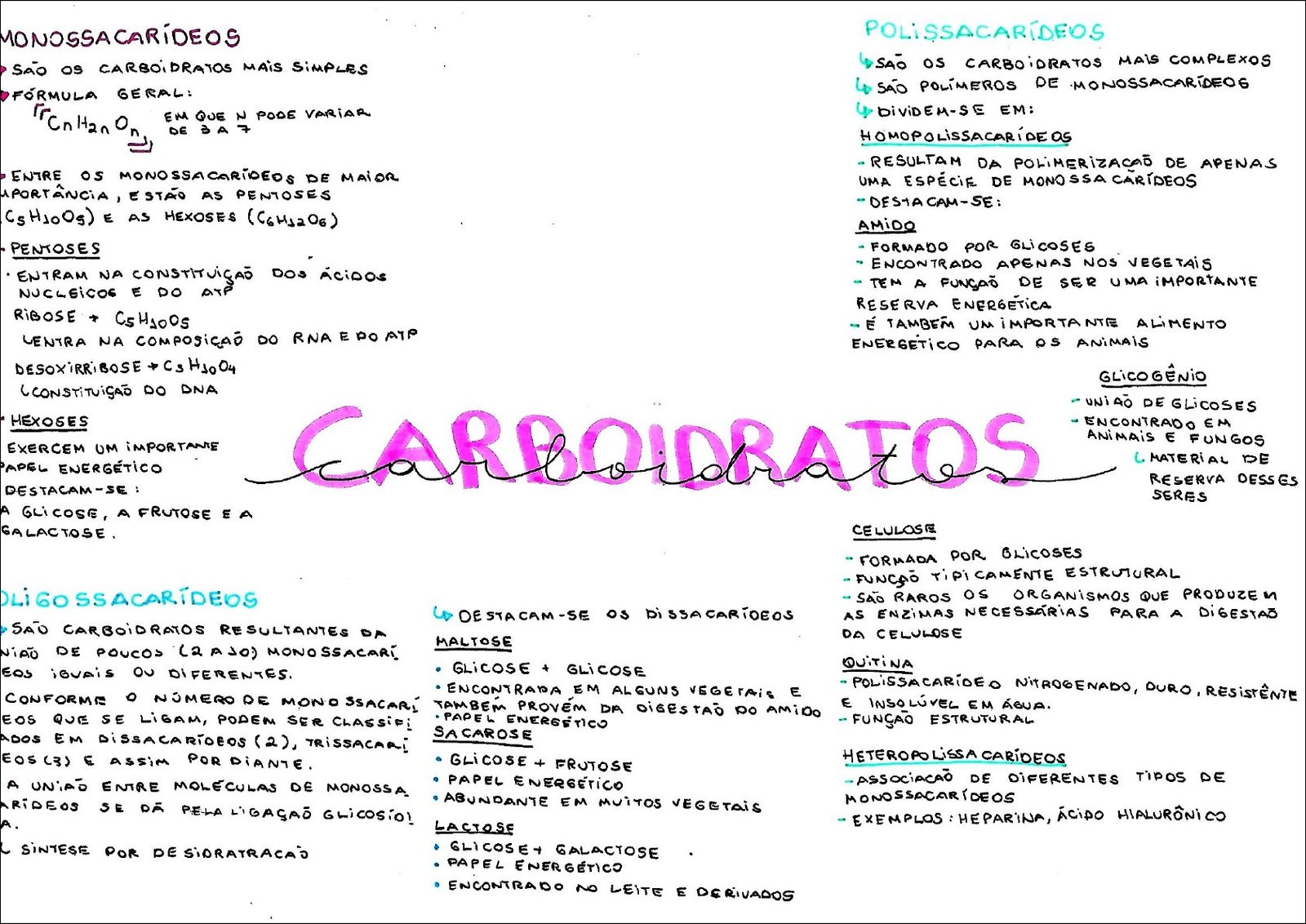 Mapa mental com Polissacarídeos no centro, ramificando-se para Monossacarídeos e Carboidratos mais complexos
