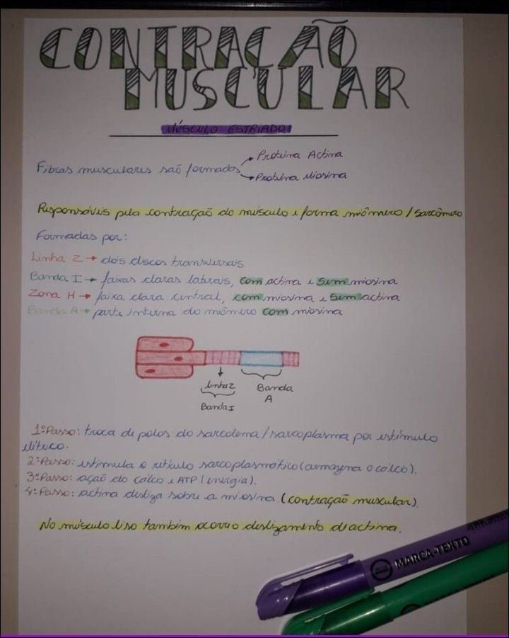 Mapa mental com CONTRACAO no centro, ramificando-se para MUSCULAR e MéSCILO ESTRIADOR