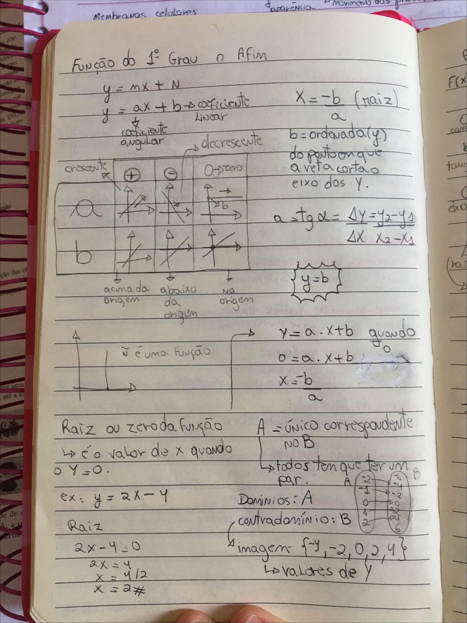 Função de Primeiro Grau