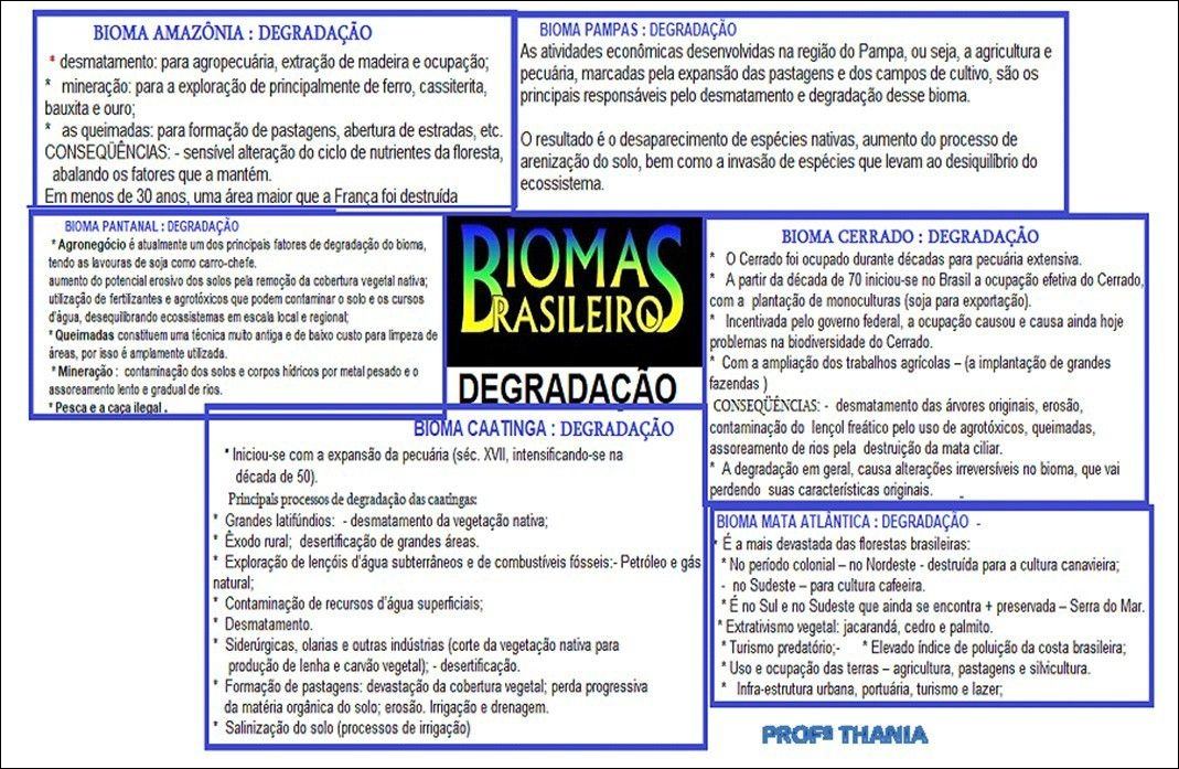 2 Mapas Mentais Sobre Bioma Pampa Study Maps