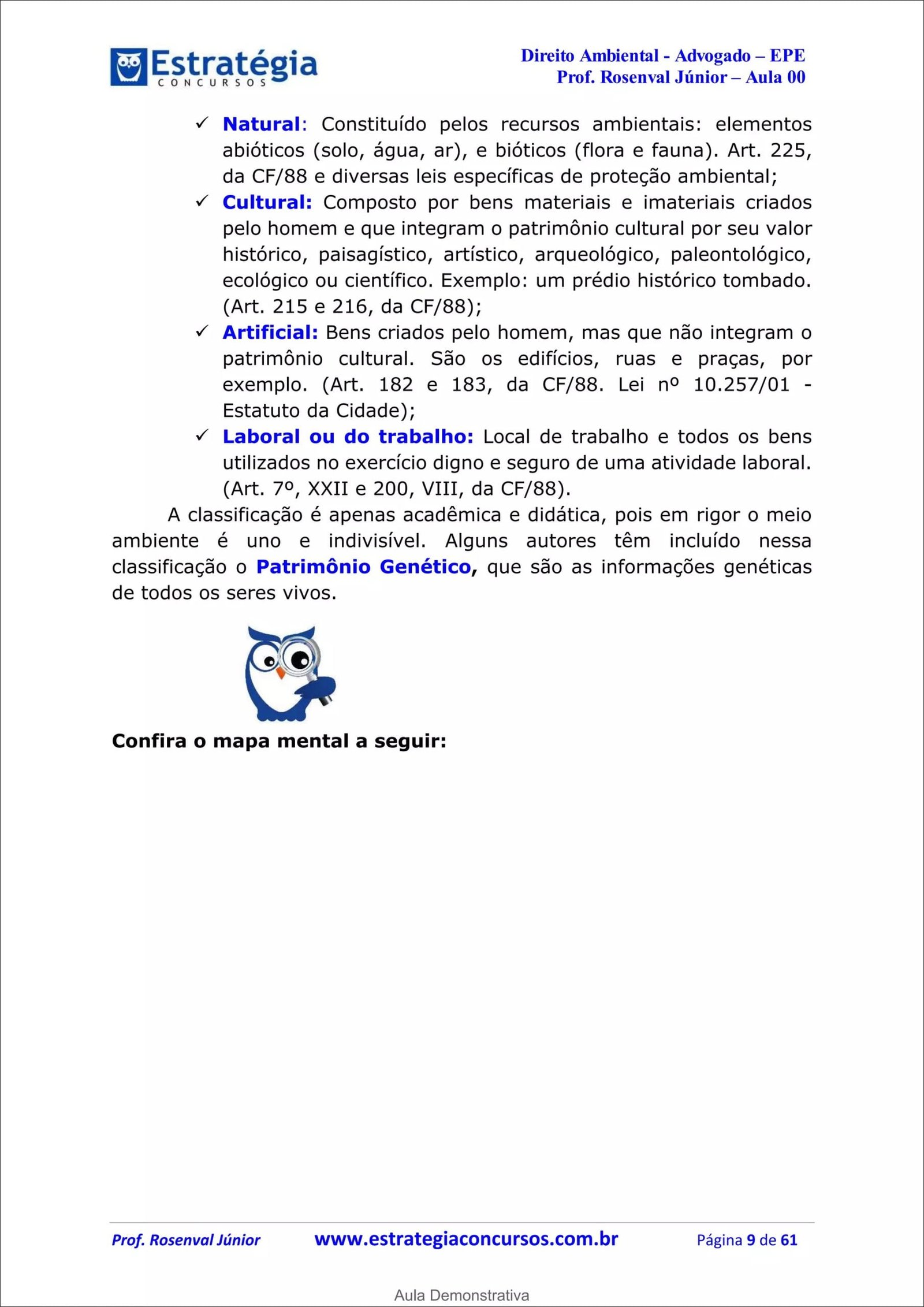 Mapa mental com Direito Ambiental no centro, ramificando-se para Advogado e EPE