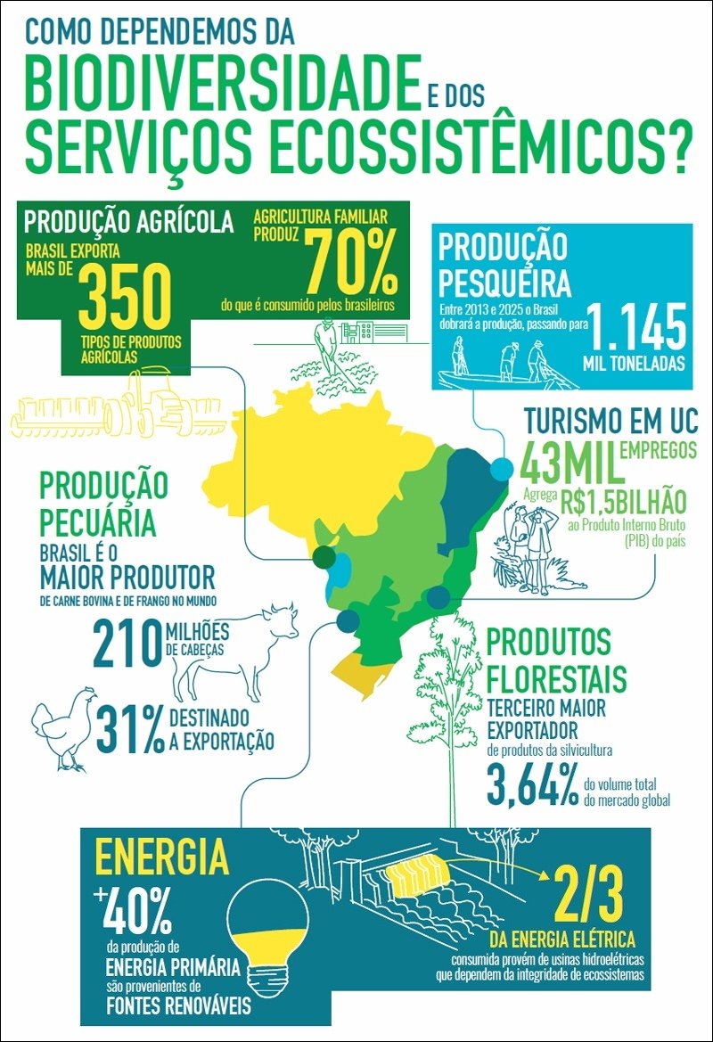 Mapa mental com como dependemos da no centro, ramificando-se para biodiversidade e dos e serviços ecossistêmicos