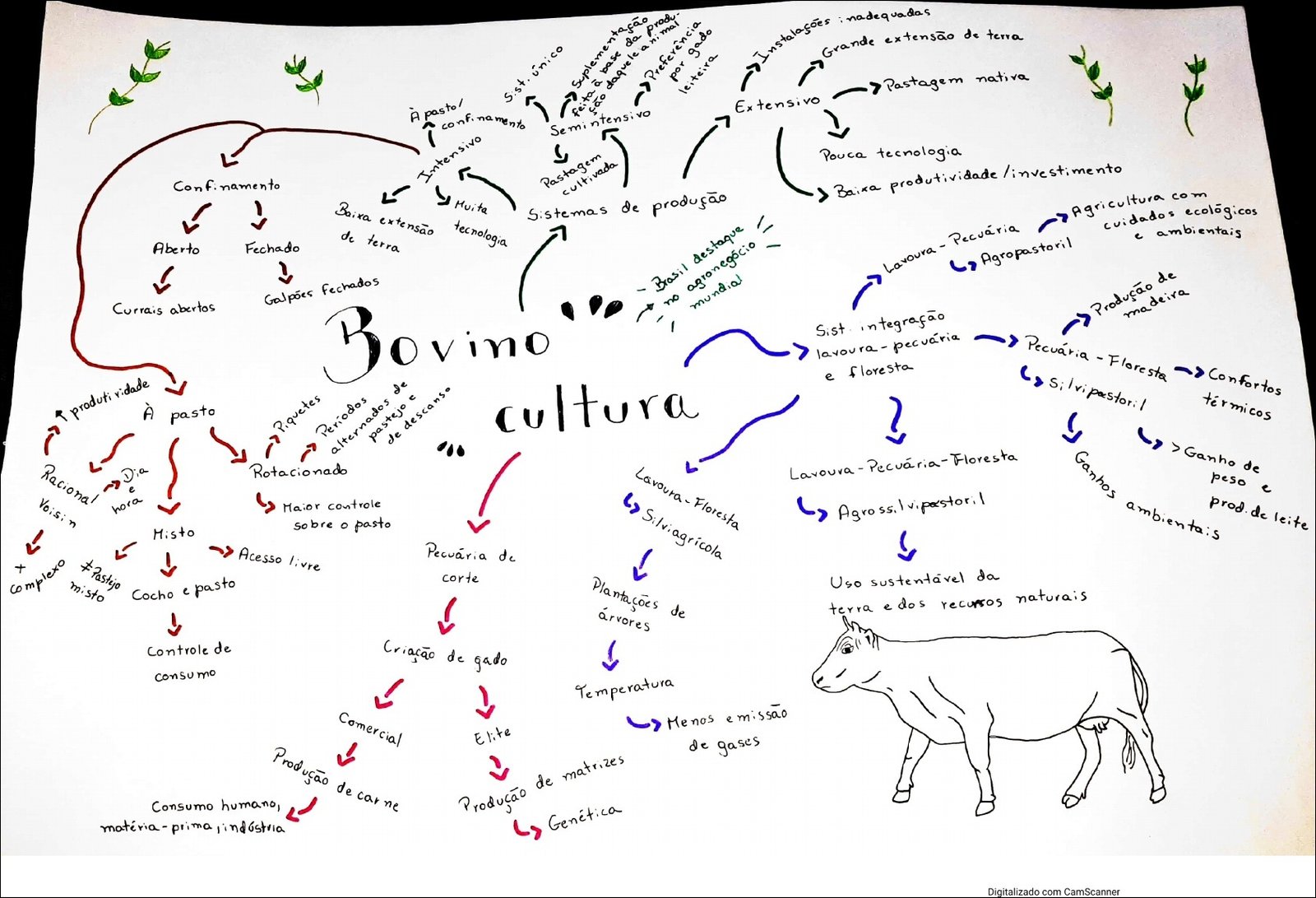 Produção agropecuária sustentável